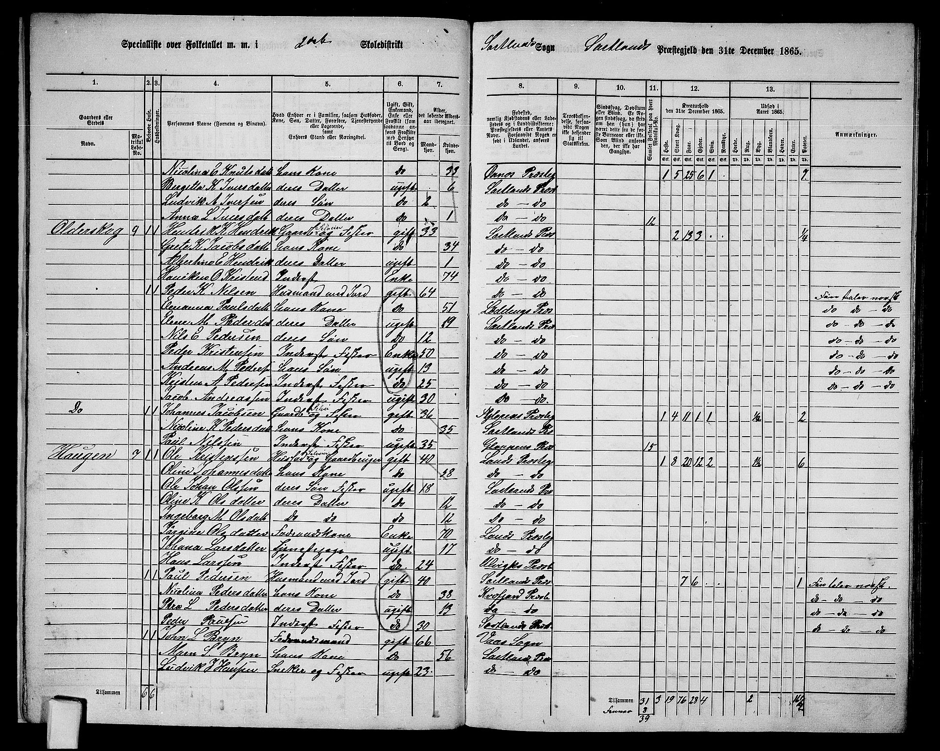 RA, 1865 census for Sortland, 1865, p. 15