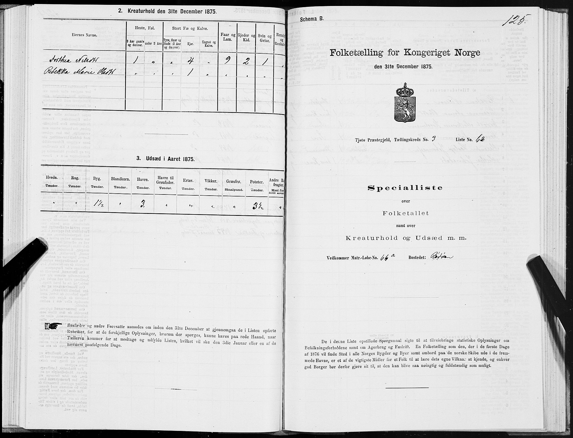 SAT, 1875 census for 1817P Tjøtta, 1875, p. 2125