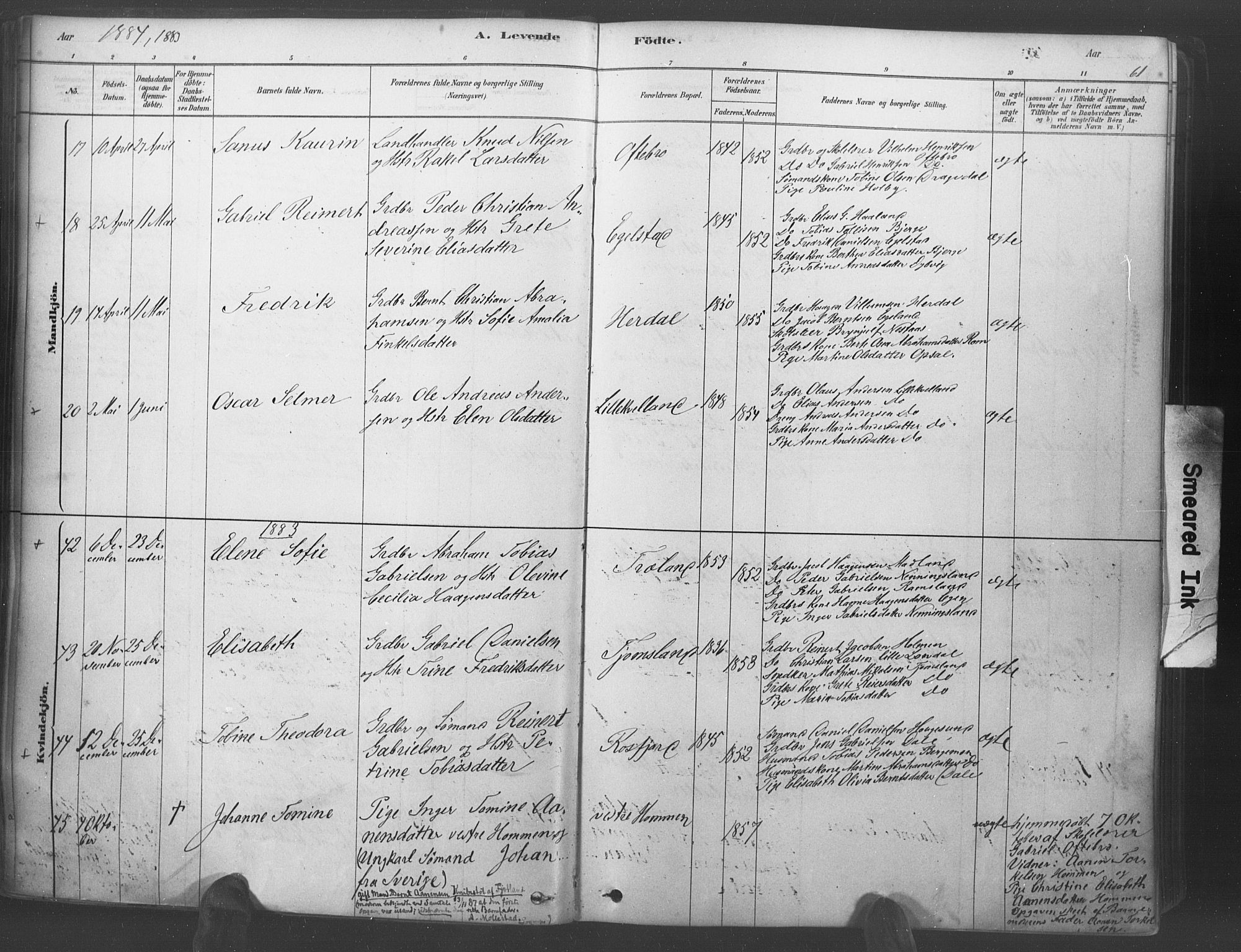 Lyngdal sokneprestkontor, AV/SAK-1111-0029/F/Fa/Fac/L0011: Parish register (official) no. A 11, 1878-1893, p. 61