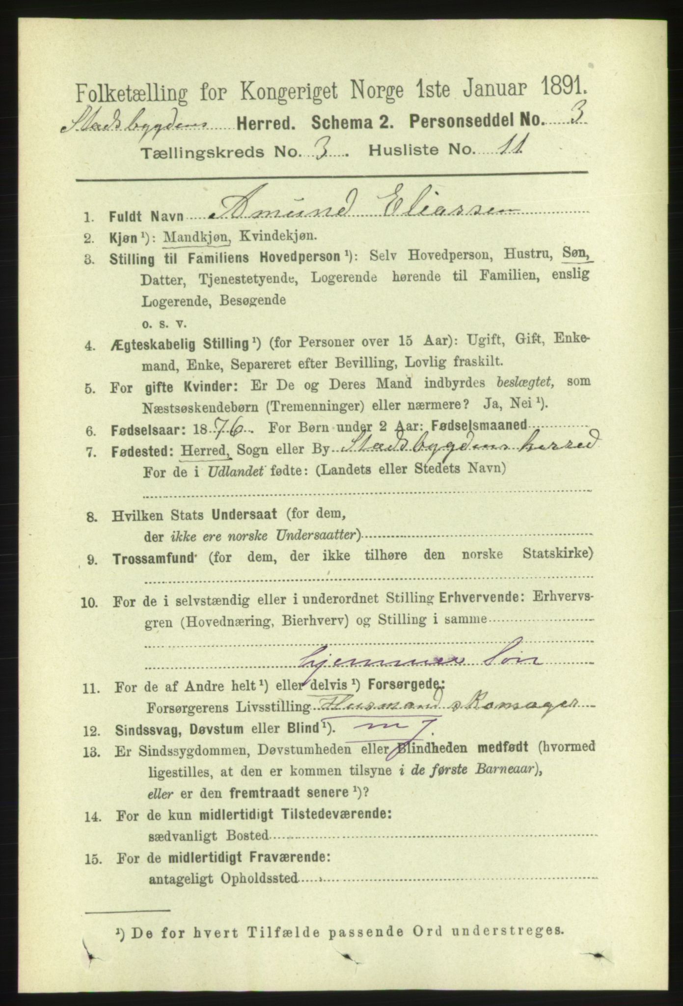 RA, 1891 census for 1625 Stadsbygd, 1891, p. 1424