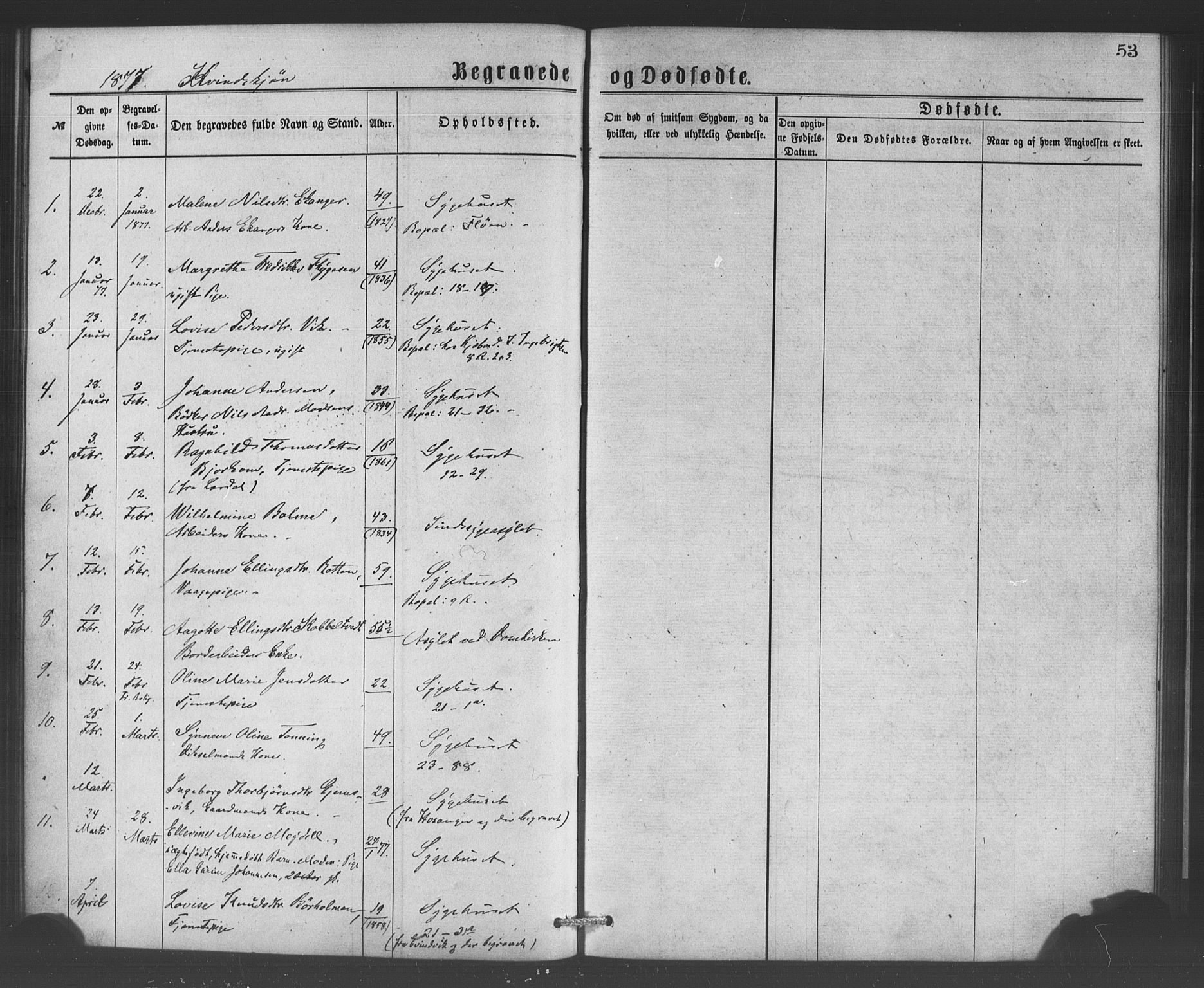 Bergen kommunale pleiehjem - stiftelsespresten, SAB/A-100281: Parish register (official) no. A 1, 1874-1886, p. 53