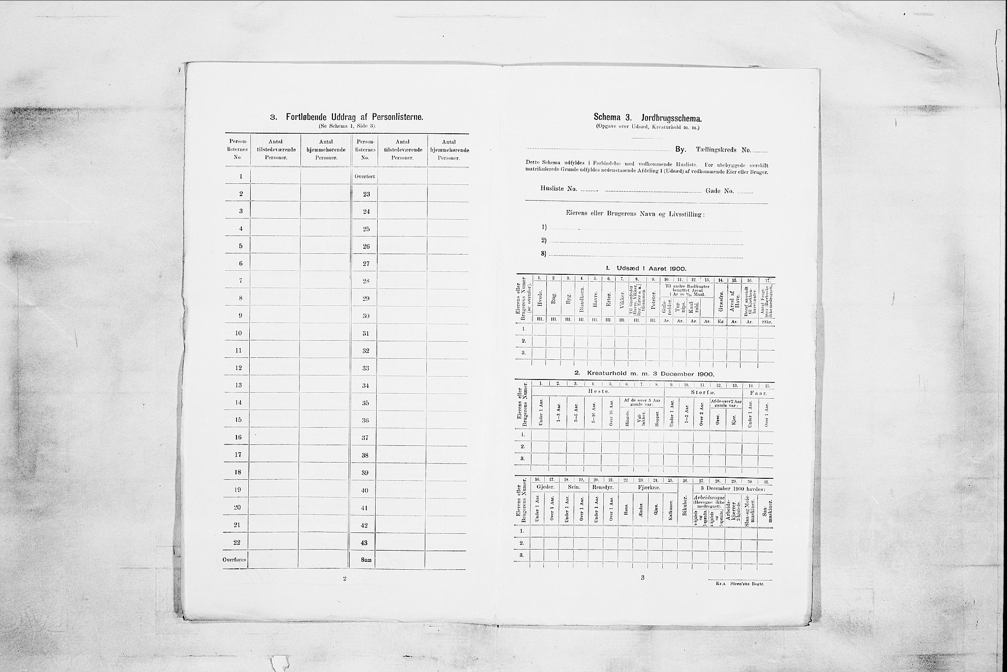 SAKO, 1900 census for Skien, 1900, p. 3741