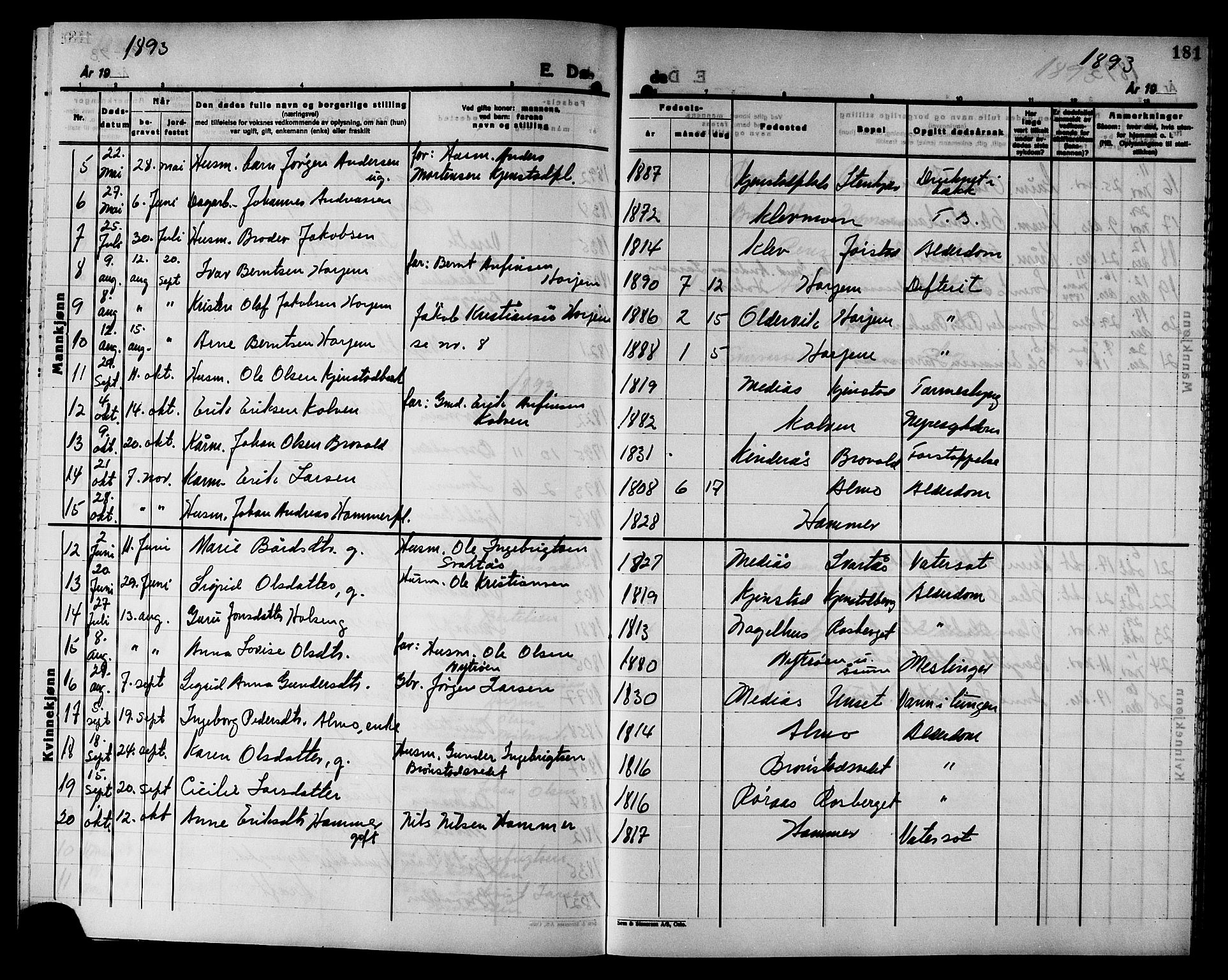 Ministerialprotokoller, klokkerbøker og fødselsregistre - Nord-Trøndelag, AV/SAT-A-1458/749/L0487: Parish register (official) no. 749D03, 1887-1902, p. 181