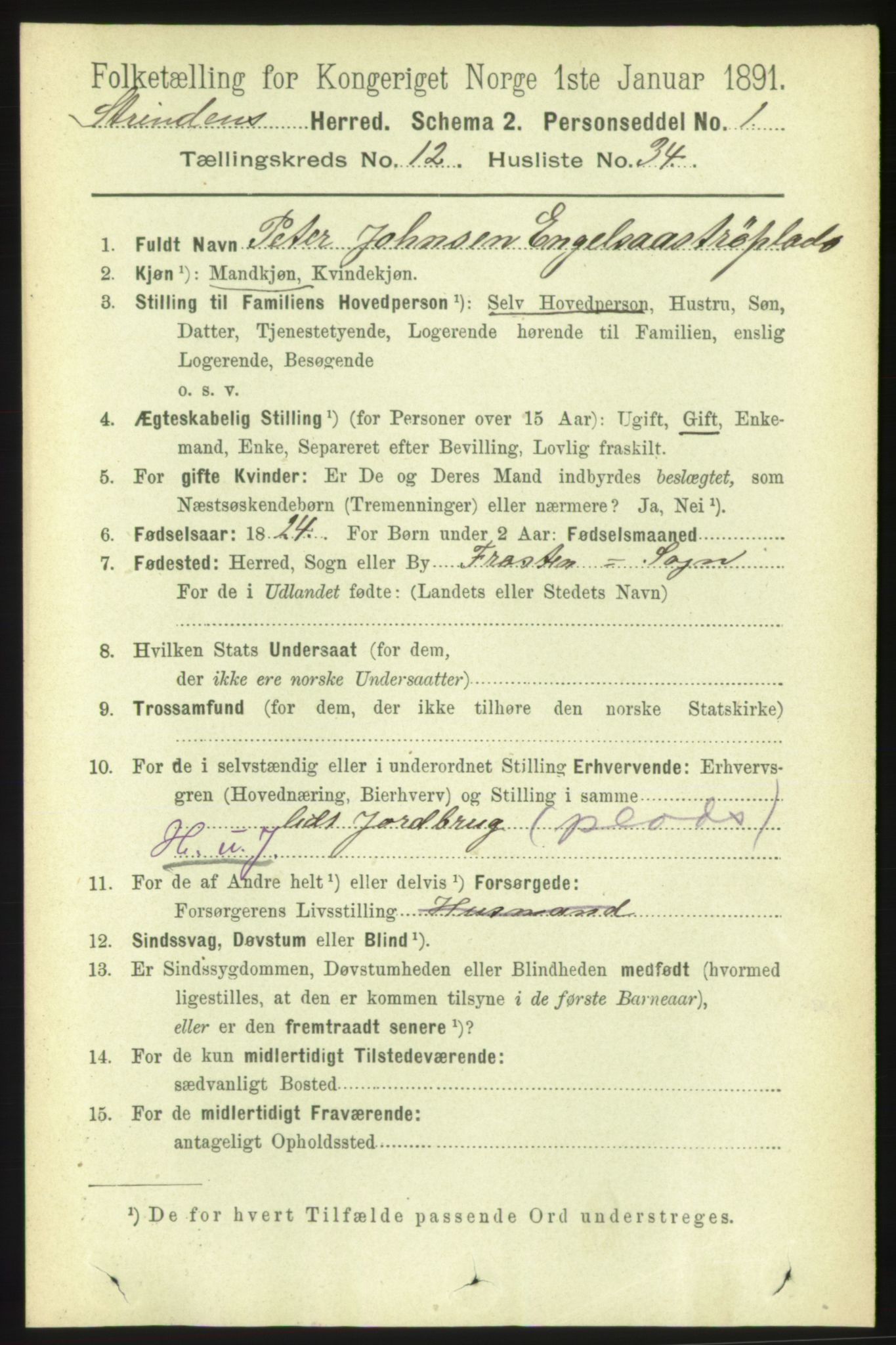 RA, 1891 census for 1660 Strinda, 1891, p. 9705