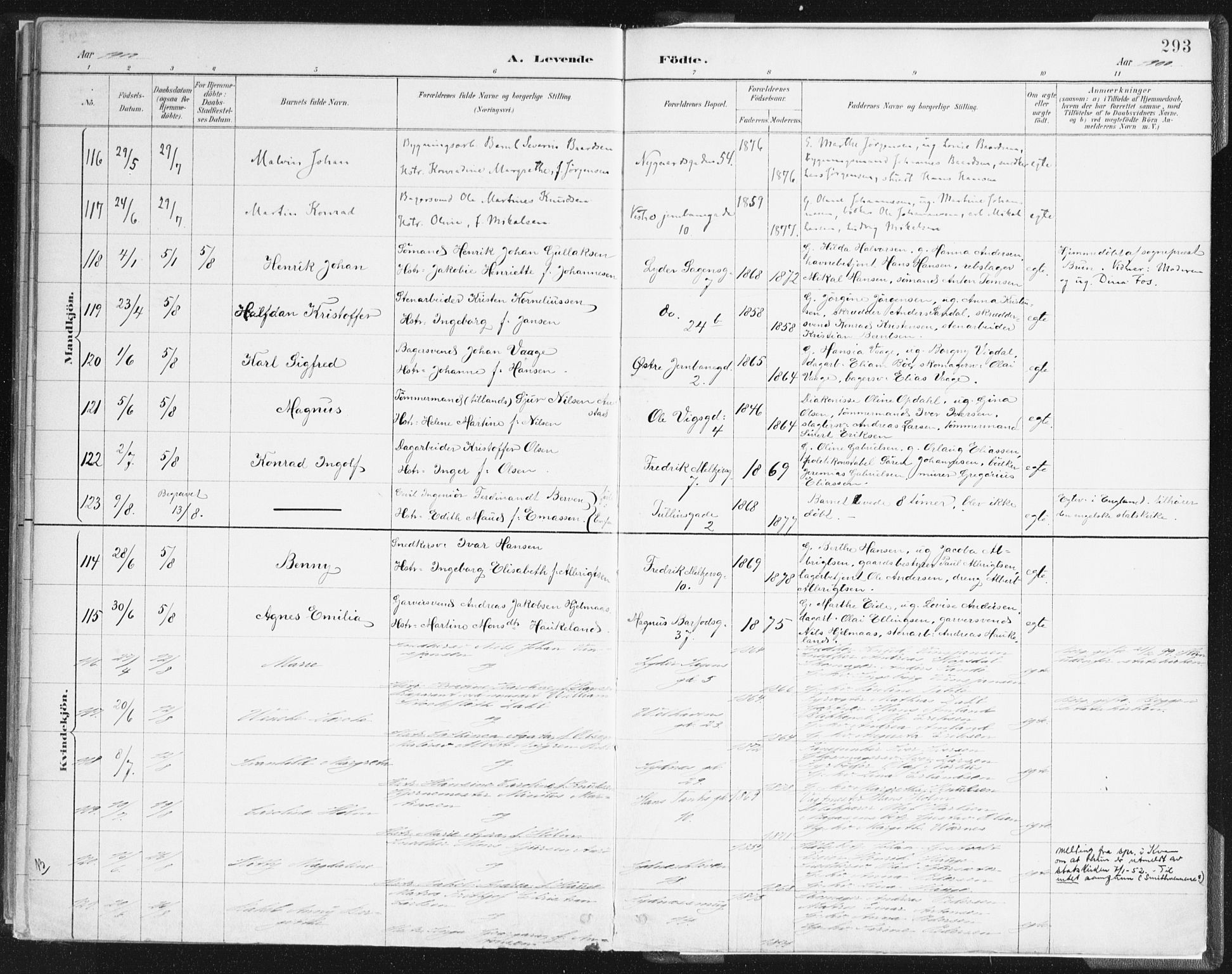 Johanneskirken sokneprestembete, AV/SAB-A-76001/H/Haa/L0001: Parish register (official) no. A 1, 1885-1900, p. 293