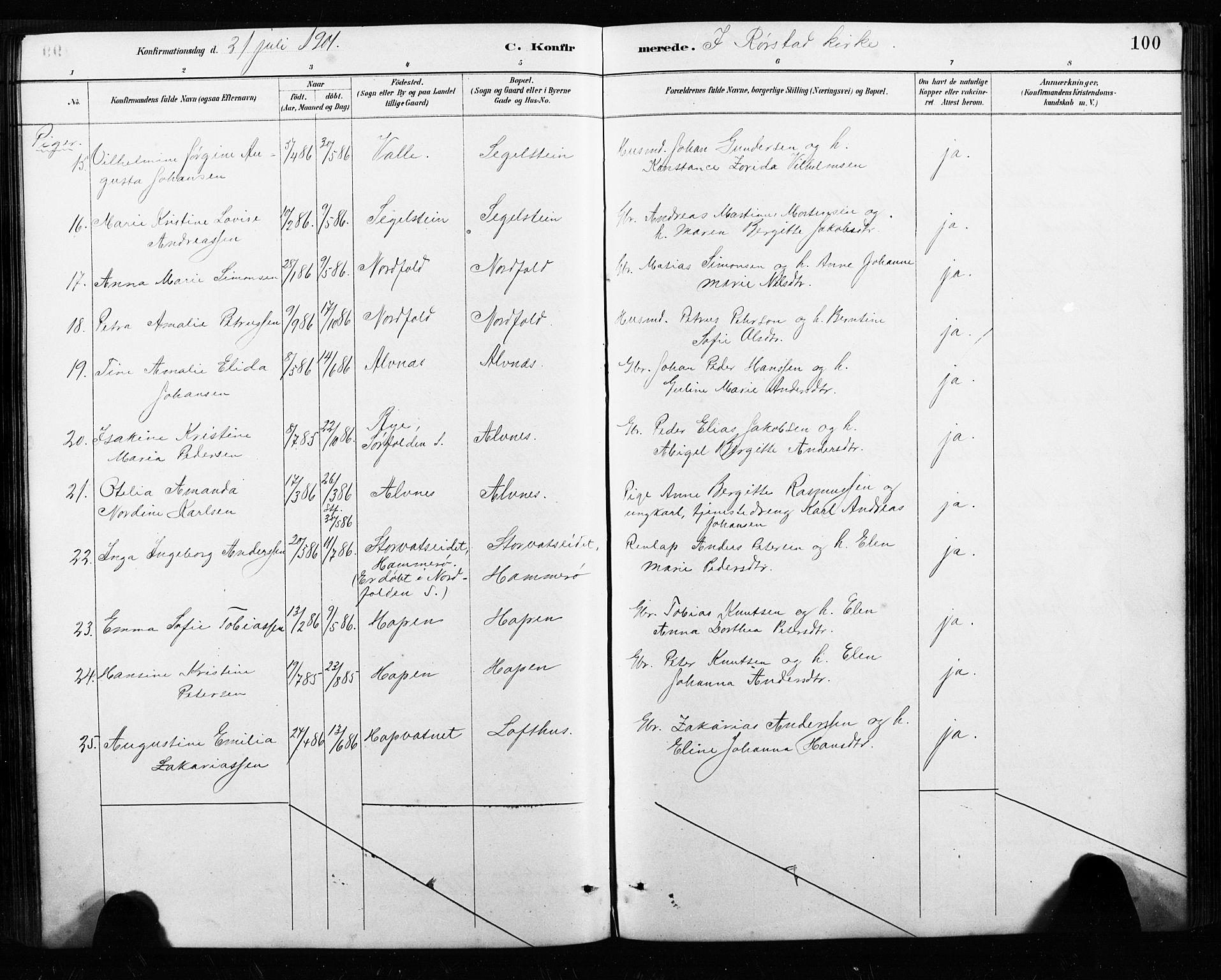 Ministerialprotokoller, klokkerbøker og fødselsregistre - Nordland, AV/SAT-A-1459/858/L0834: Parish register (copy) no. 858C01, 1884-1904, p. 100