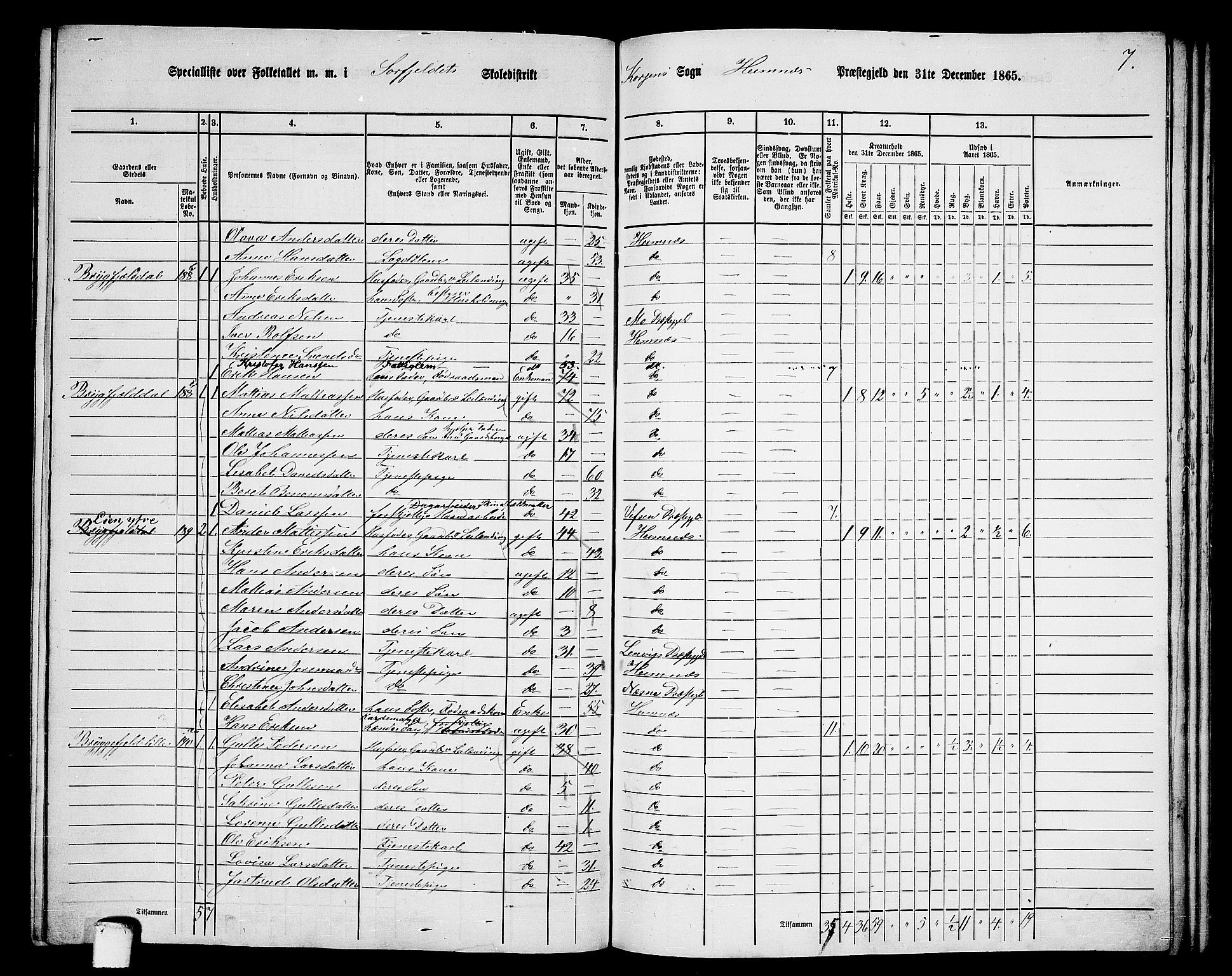 RA, 1865 census for Hemnes, 1865, p. 135