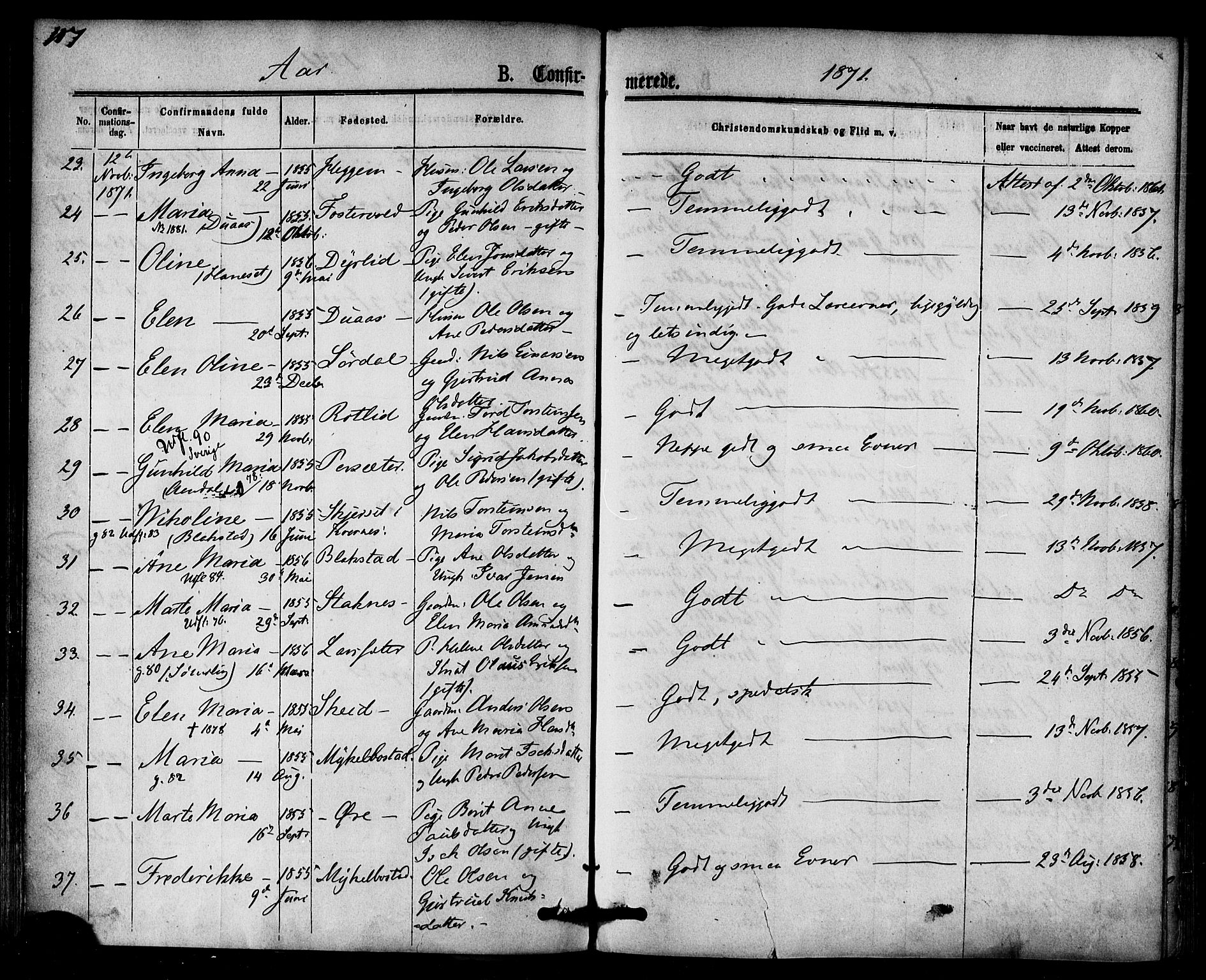 Ministerialprotokoller, klokkerbøker og fødselsregistre - Møre og Romsdal, AV/SAT-A-1454/584/L0966: Parish register (official) no. 584A06, 1869-1878, p. 107