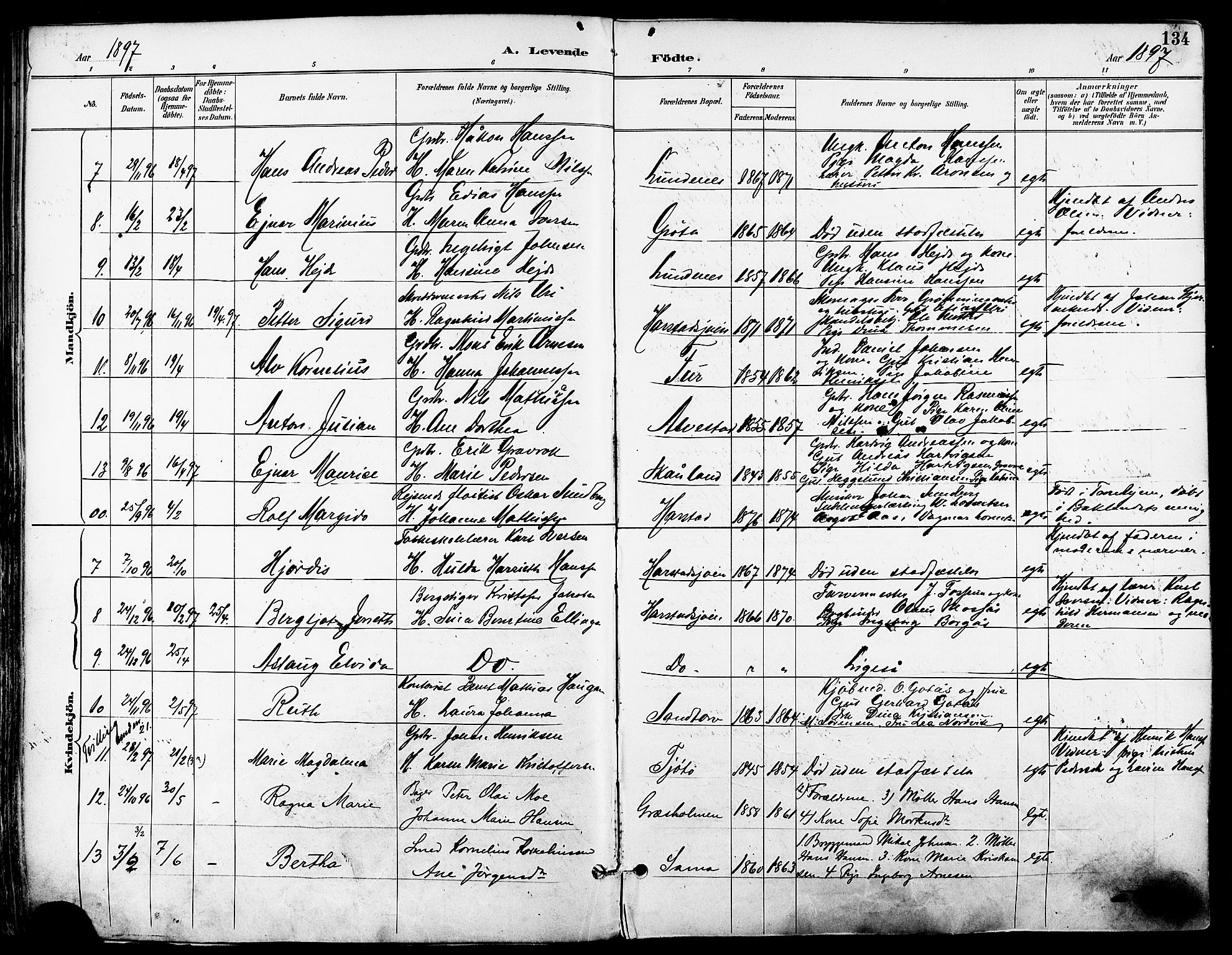Trondenes sokneprestkontor, SATØ/S-1319/H/Ha/L0016kirke: Parish register (official) no. 16, 1890-1898, p. 134