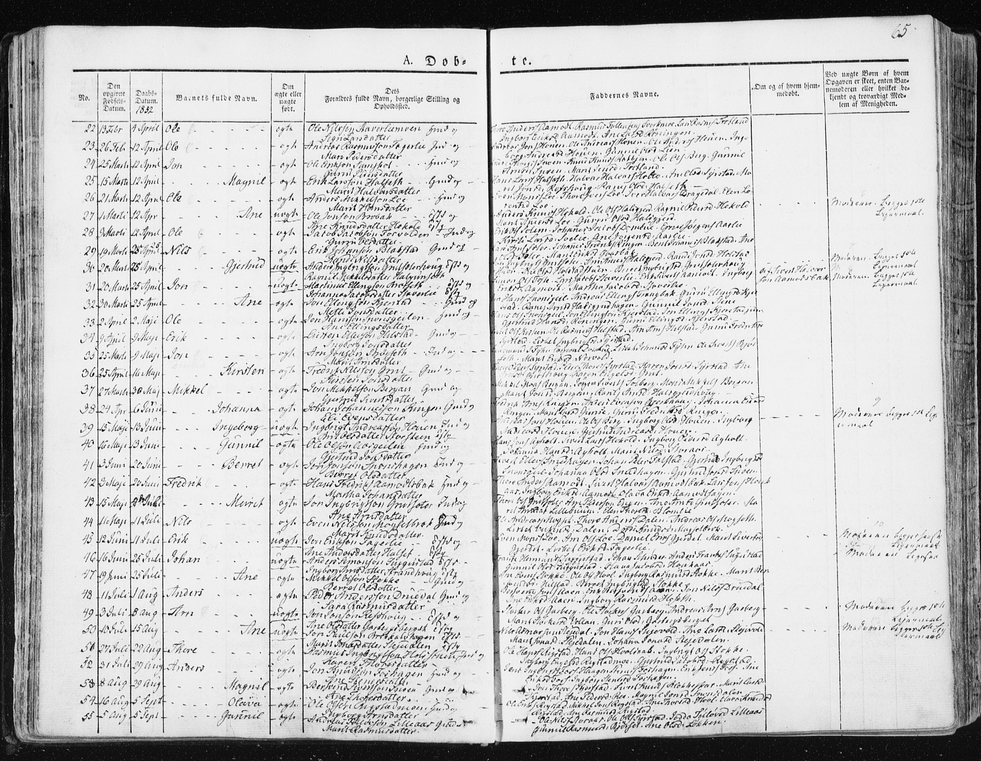 Ministerialprotokoller, klokkerbøker og fødselsregistre - Sør-Trøndelag, SAT/A-1456/672/L0855: Parish register (official) no. 672A07, 1829-1860, p. 65