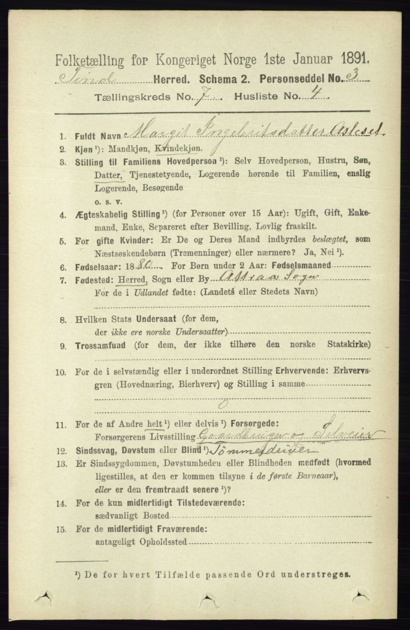 RA, 1891 census for 0826 Tinn, 1891, p. 1453