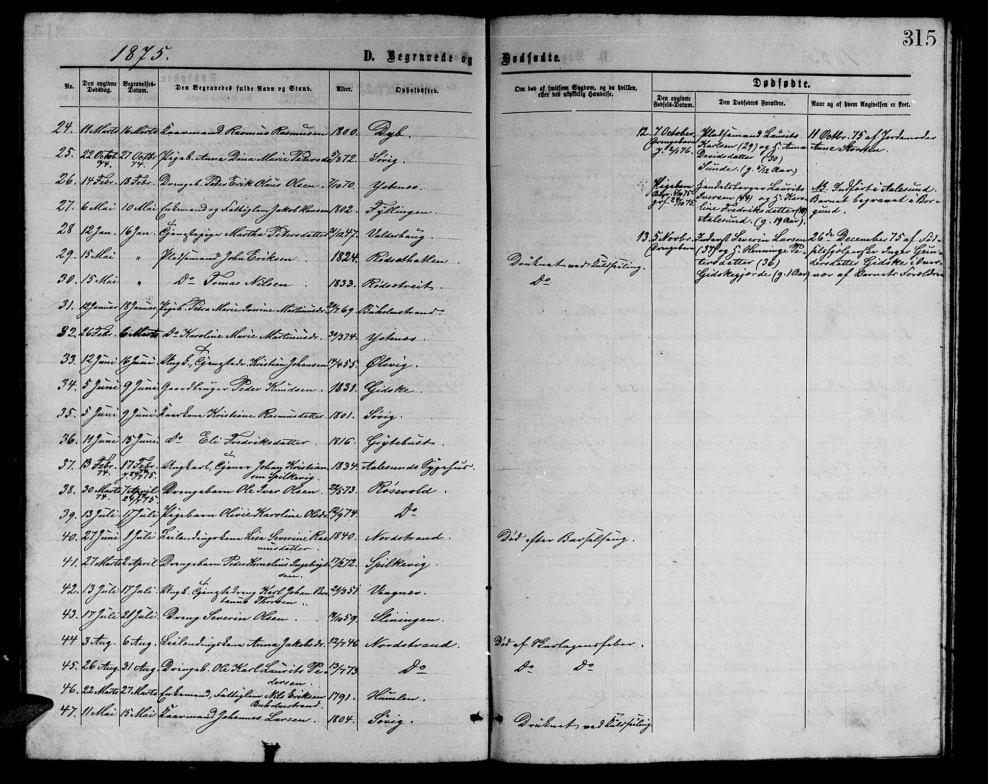 Ministerialprotokoller, klokkerbøker og fødselsregistre - Møre og Romsdal, SAT/A-1454/528/L0428: Parish register (copy) no. 528C09, 1864-1880, p. 315