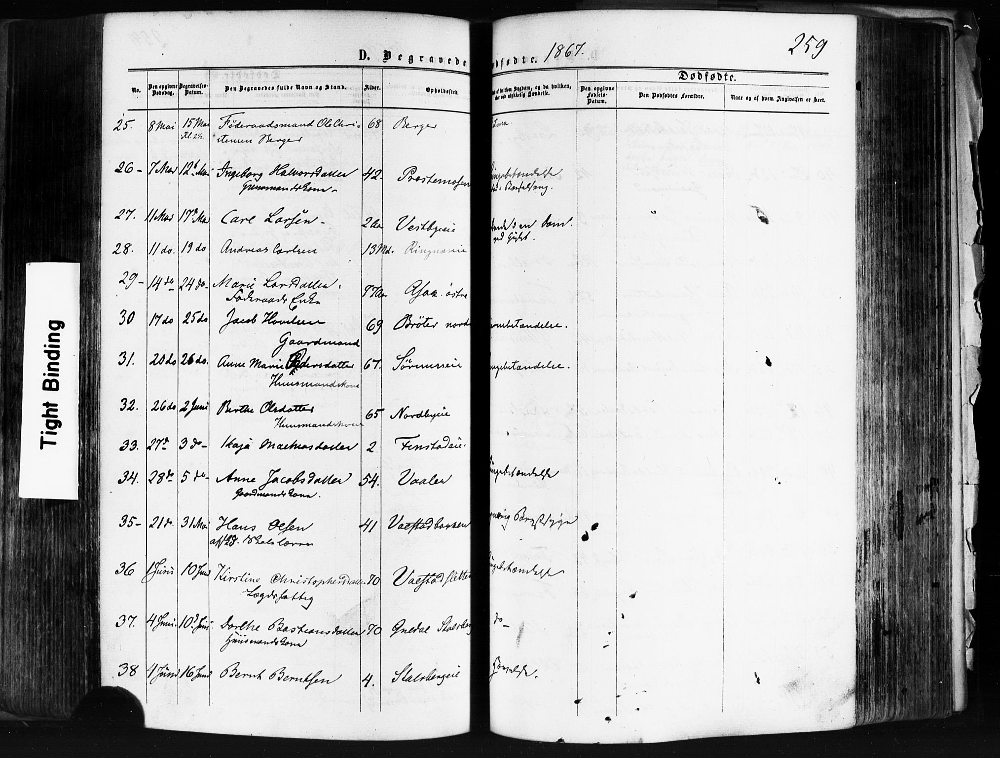 Skedsmo prestekontor Kirkebøker, AV/SAO-A-10033a/F/Fa/L0011: Parish register (official) no. I 11, 1866-1876, p. 259