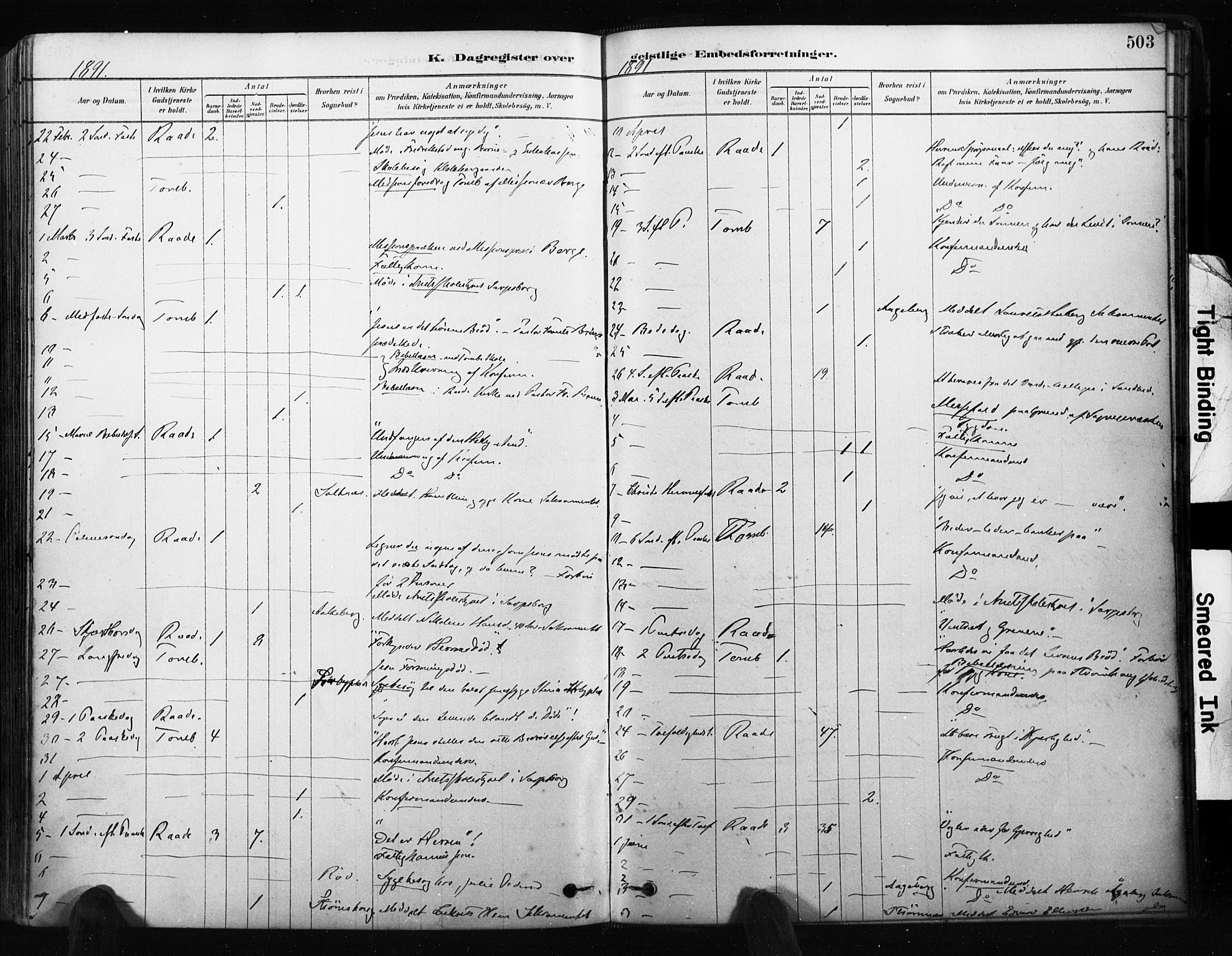 Råde prestekontor kirkebøker, AV/SAO-A-2009/F/Fa/L0007: Parish register (official) no. 7, 1878-1902, p. 503