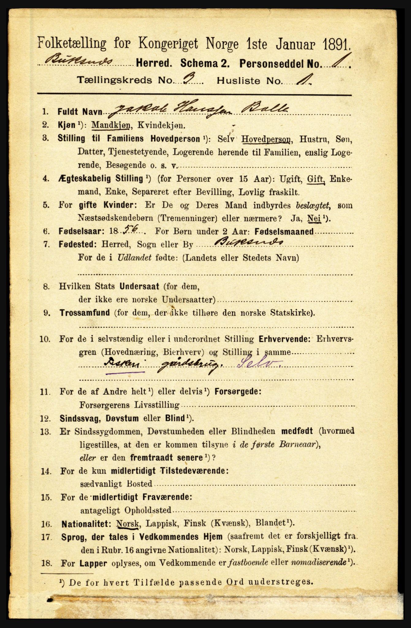 RA, 1891 census for 1860 Buksnes, 1891, p. 2204