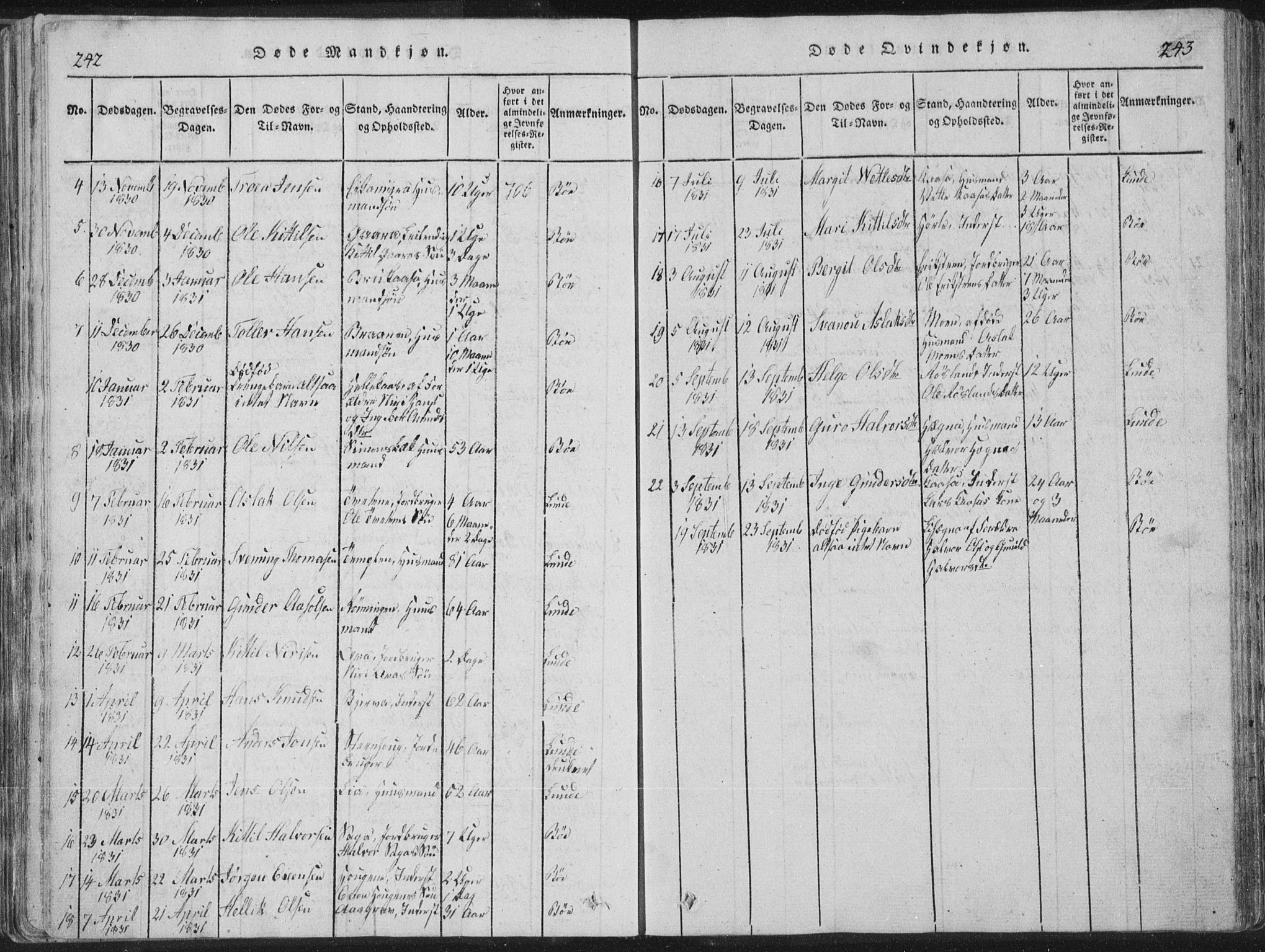 Bø kirkebøker, SAKO/A-257/F/Fa/L0006: Parish register (official) no. 6, 1815-1831, p. 242-243