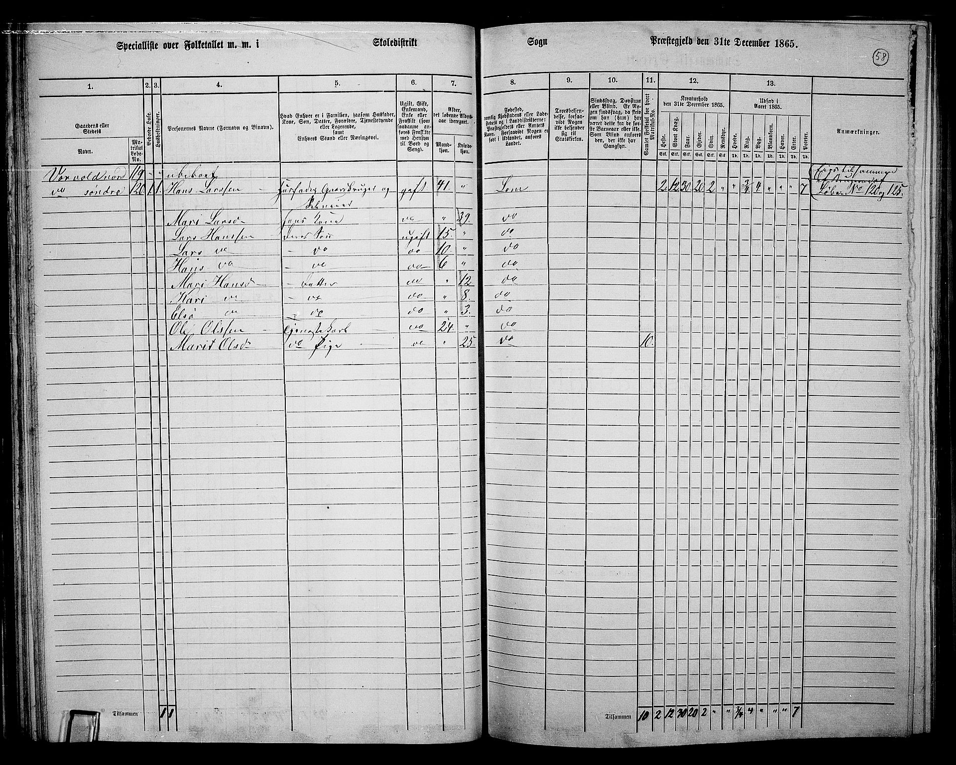 RA, 1865 census for Lom, 1865, p. 54