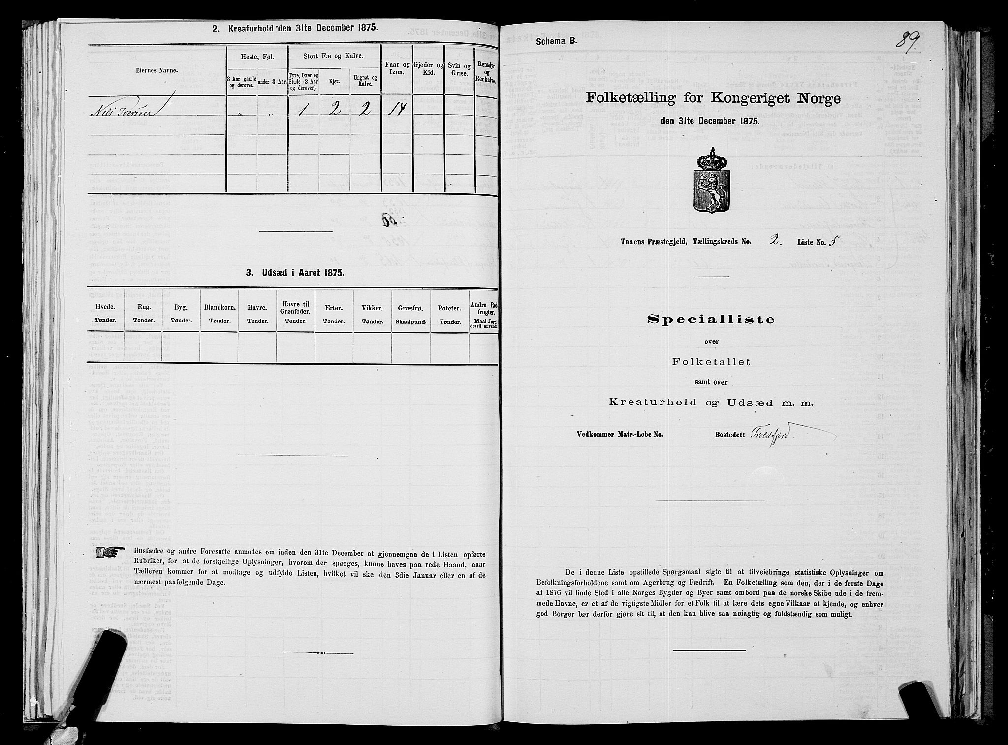 SATØ, 1875 census for 2025P Tana, 1875, p. 1089