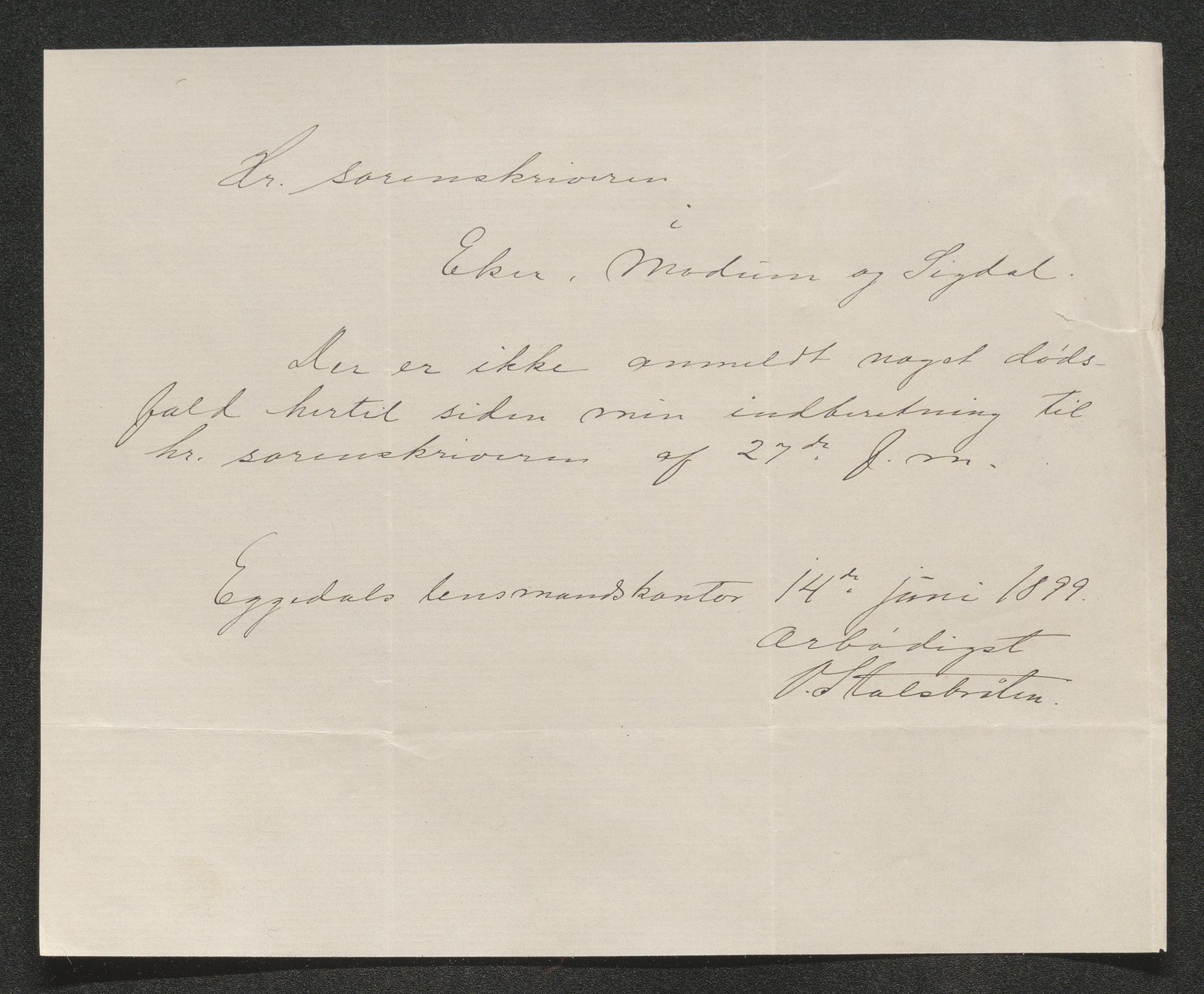 Eiker, Modum og Sigdal sorenskriveri, SAKO/A-123/H/Ha/Hab/L0026: Dødsfallsmeldinger, 1899, p. 498