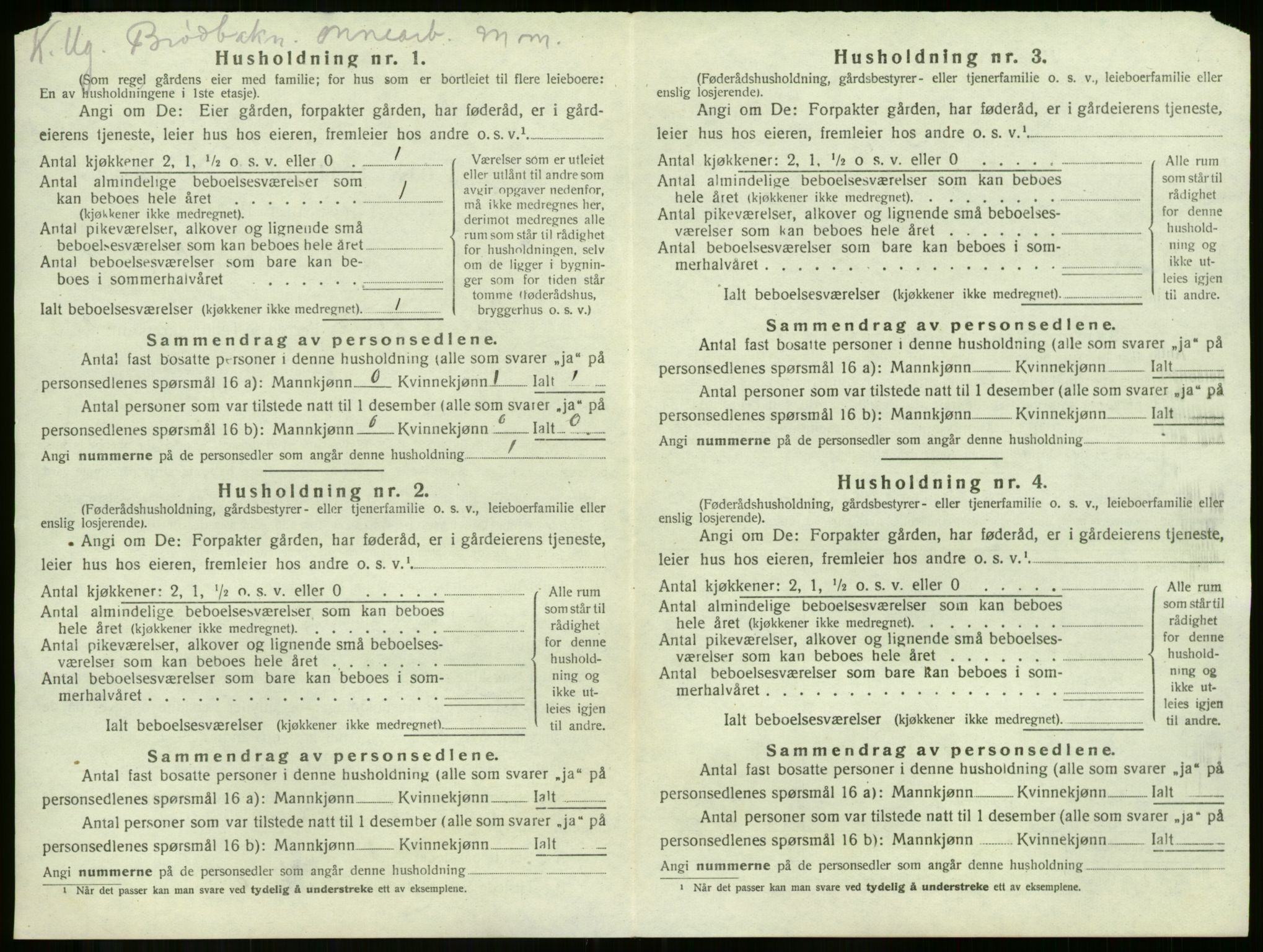 SAKO, 1920 census for Våle, 1920, p. 995