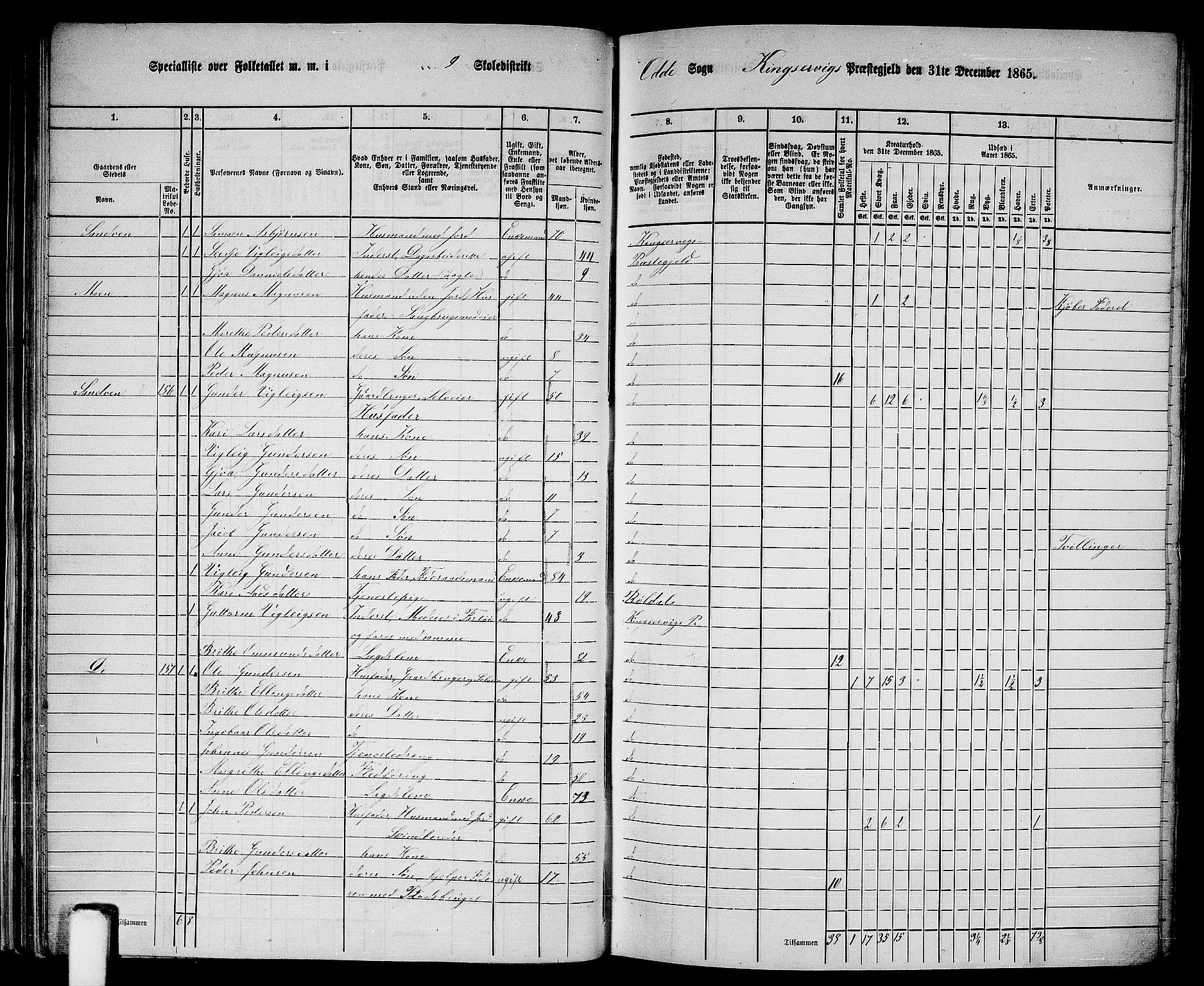 RA, 1865 census for Kinsarvik, 1865, p. 40