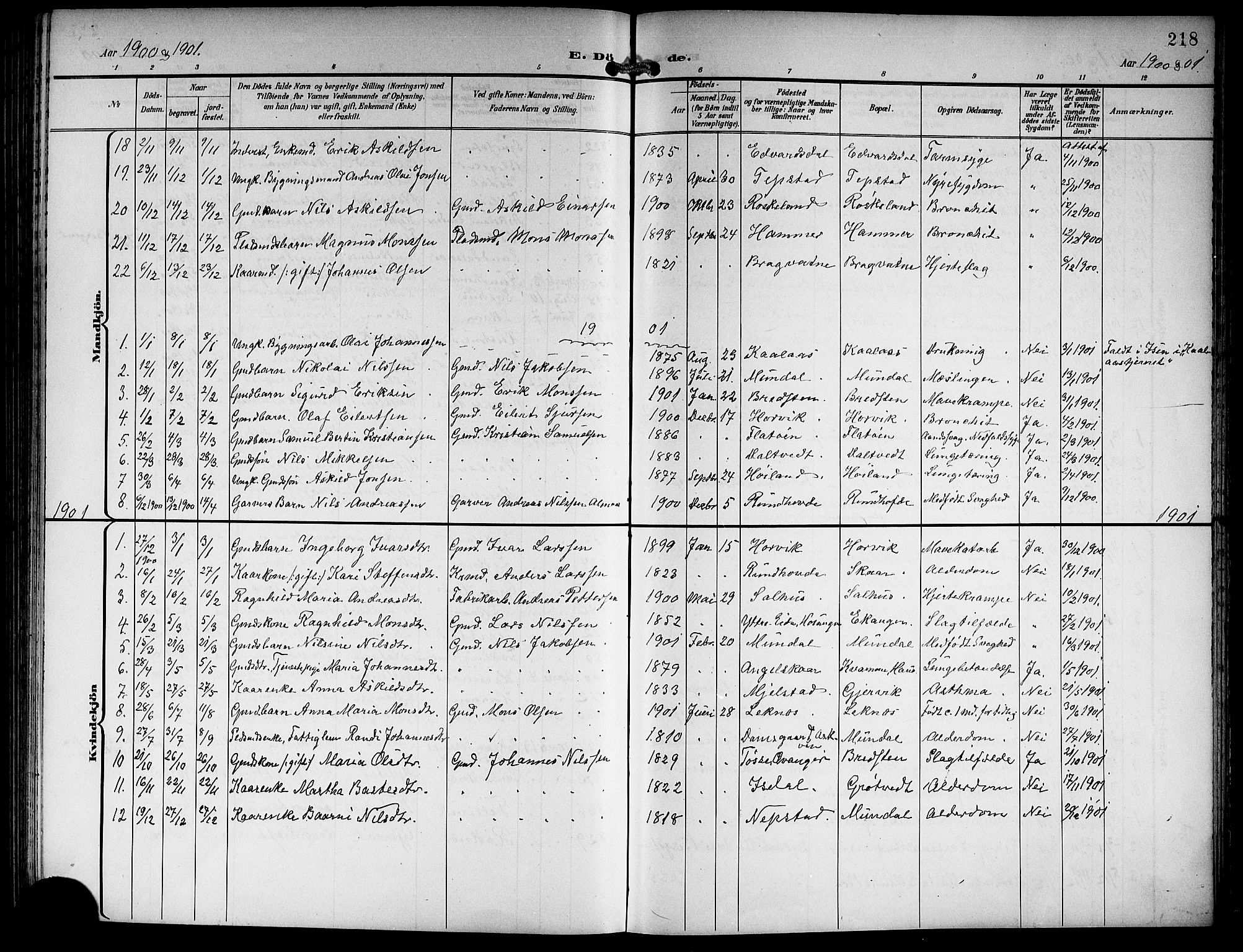 Hamre sokneprestembete, SAB/A-75501/H/Ha/Hab: Parish register (copy) no. B 4, 1898-1919, p. 218