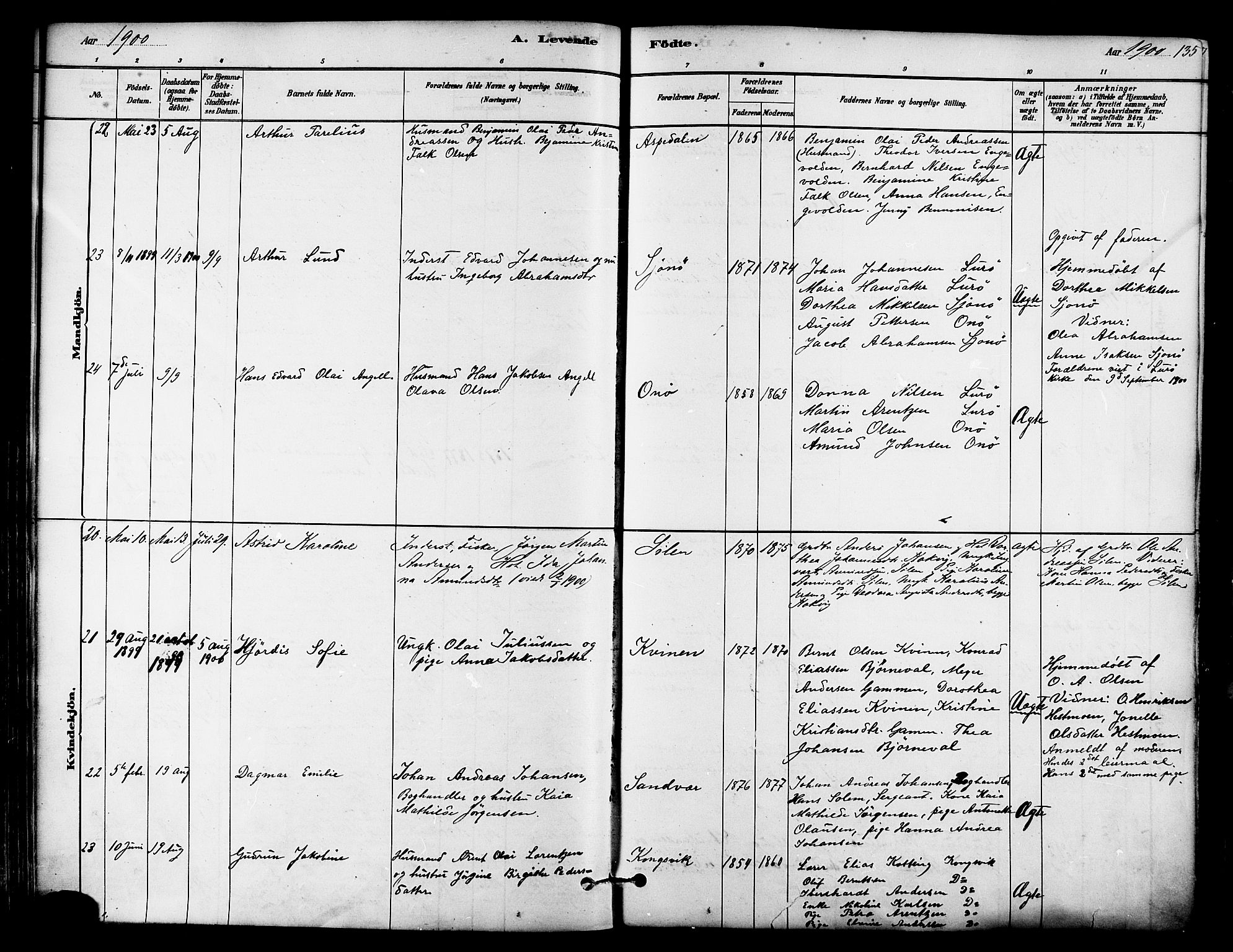 Ministerialprotokoller, klokkerbøker og fødselsregistre - Nordland, AV/SAT-A-1459/839/L0568: Parish register (official) no. 839A05, 1880-1902, p. 135