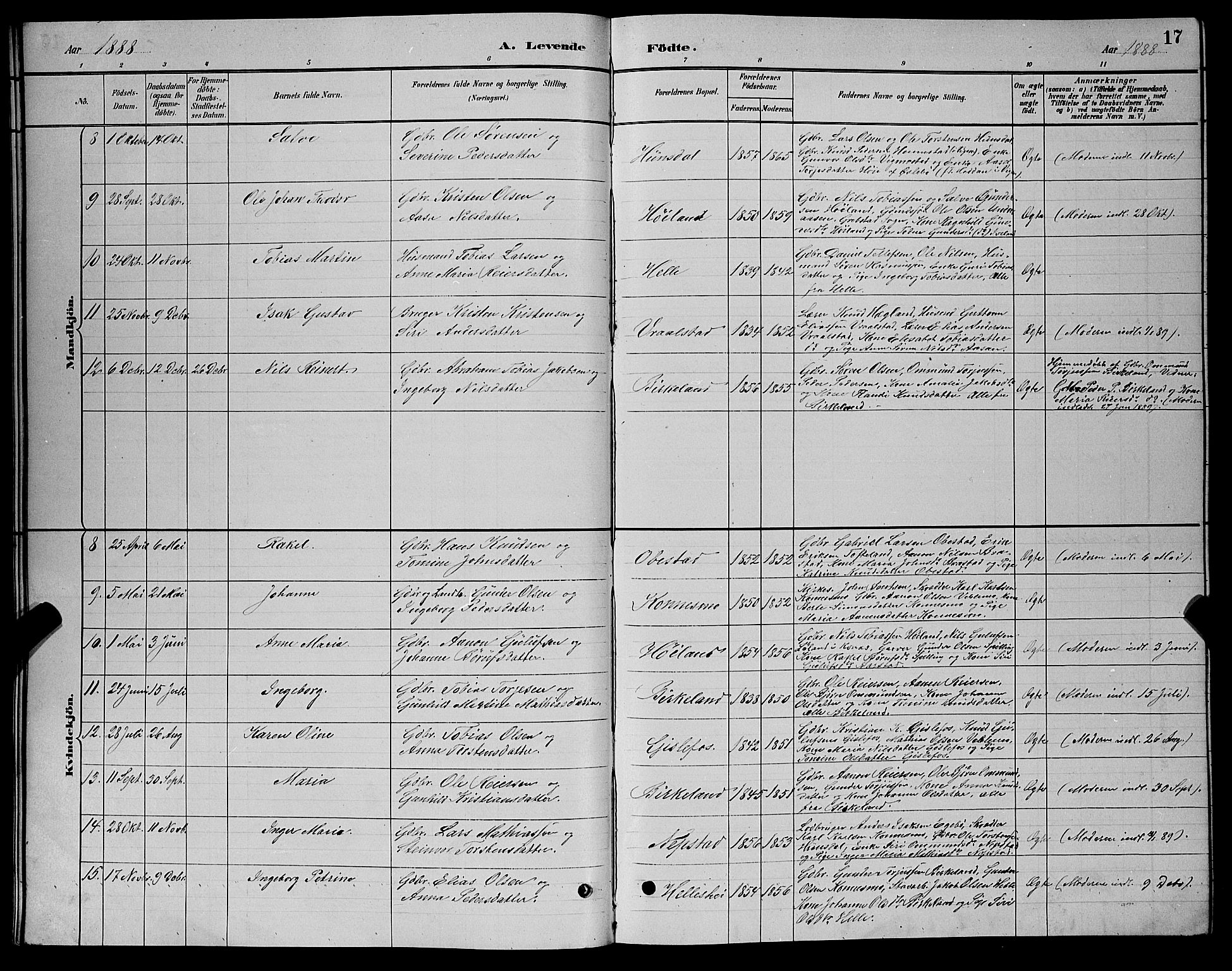 Nord-Audnedal sokneprestkontor, AV/SAK-1111-0032/F/Fb/Fba/L0003: Parish register (copy) no. B 3, 1881-1900, p. 17