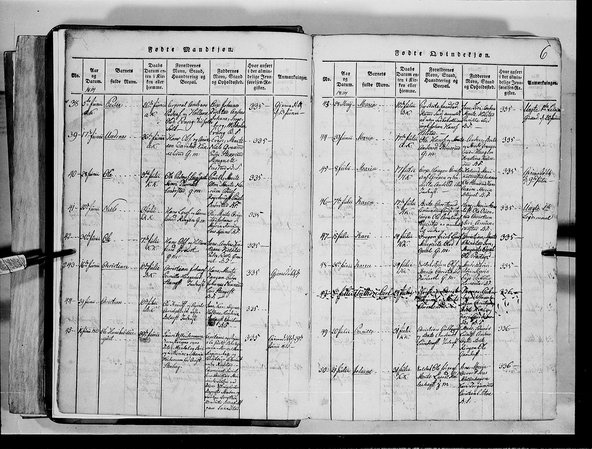 Toten prestekontor, AV/SAH-PREST-102/H/Ha/Hab/L0001: Parish register (copy) no. 1, 1814-1820, p. 6