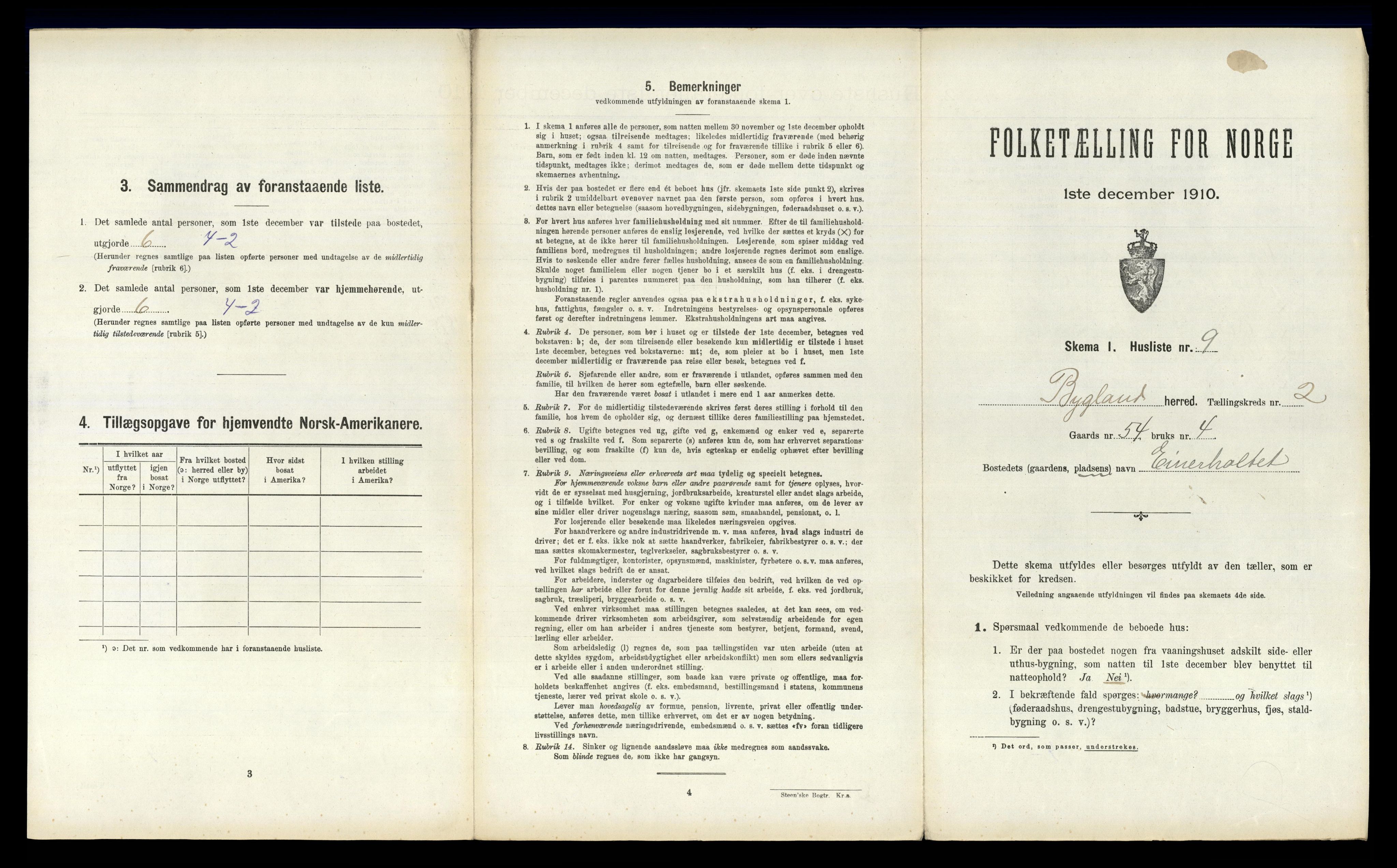RA, 1910 census for Bygland, 1910, p. 157