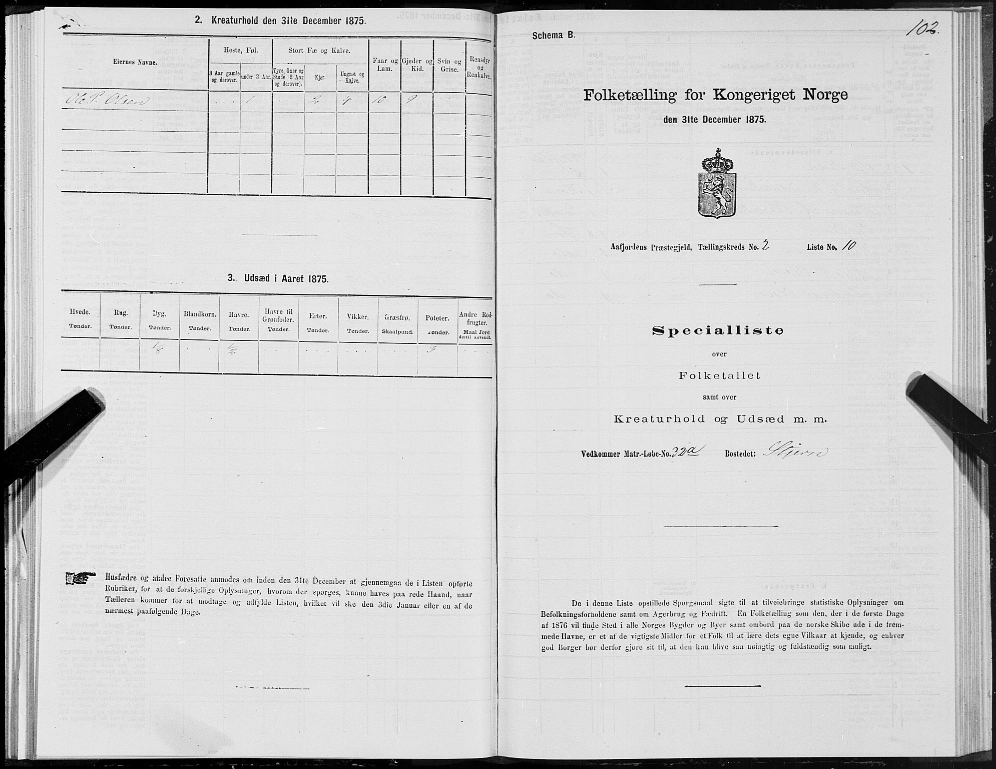 SAT, 1875 census for 1630P Aafjorden, 1875, p. 1102