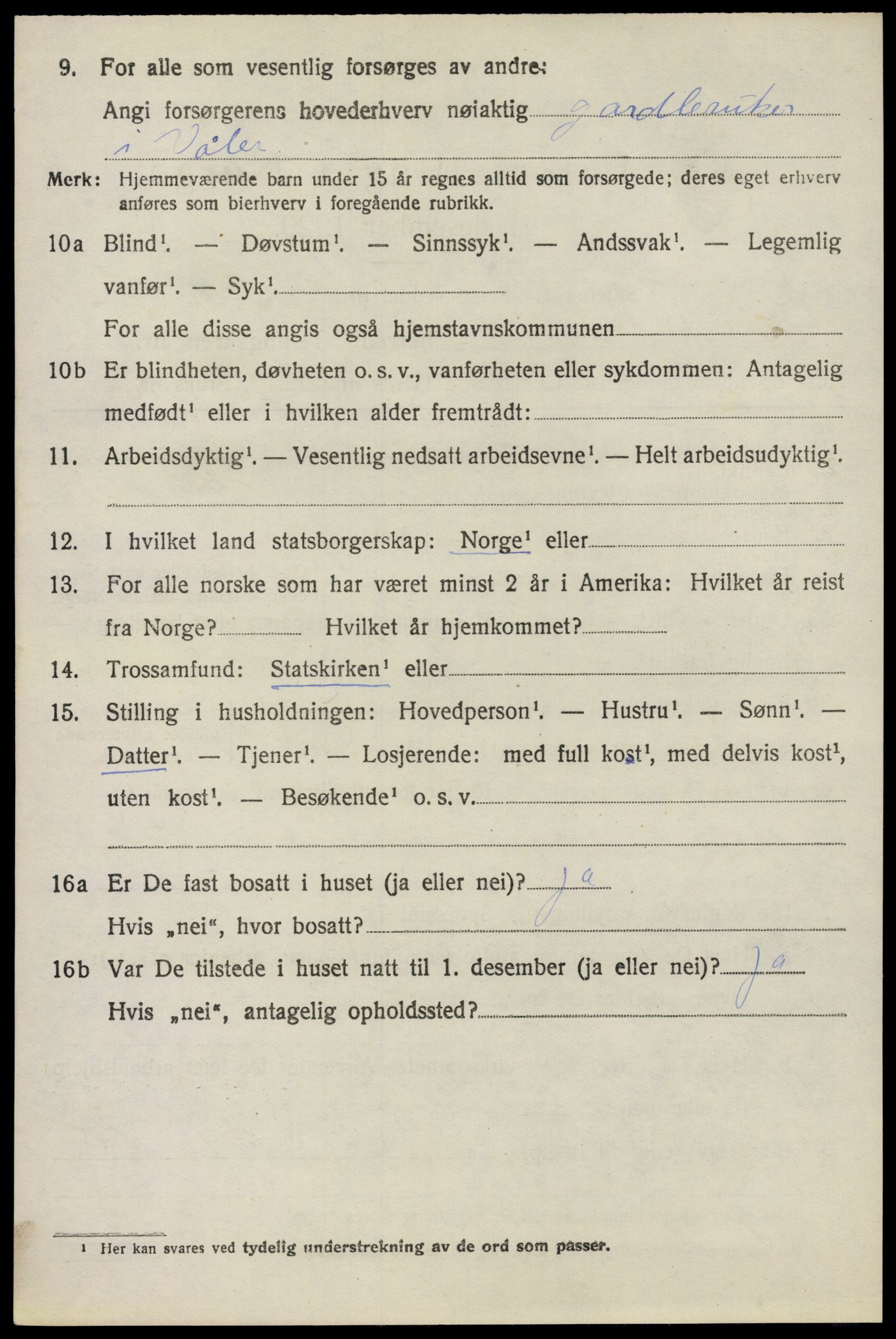 SAO, 1920 census for Våler, 1920, p. 1373