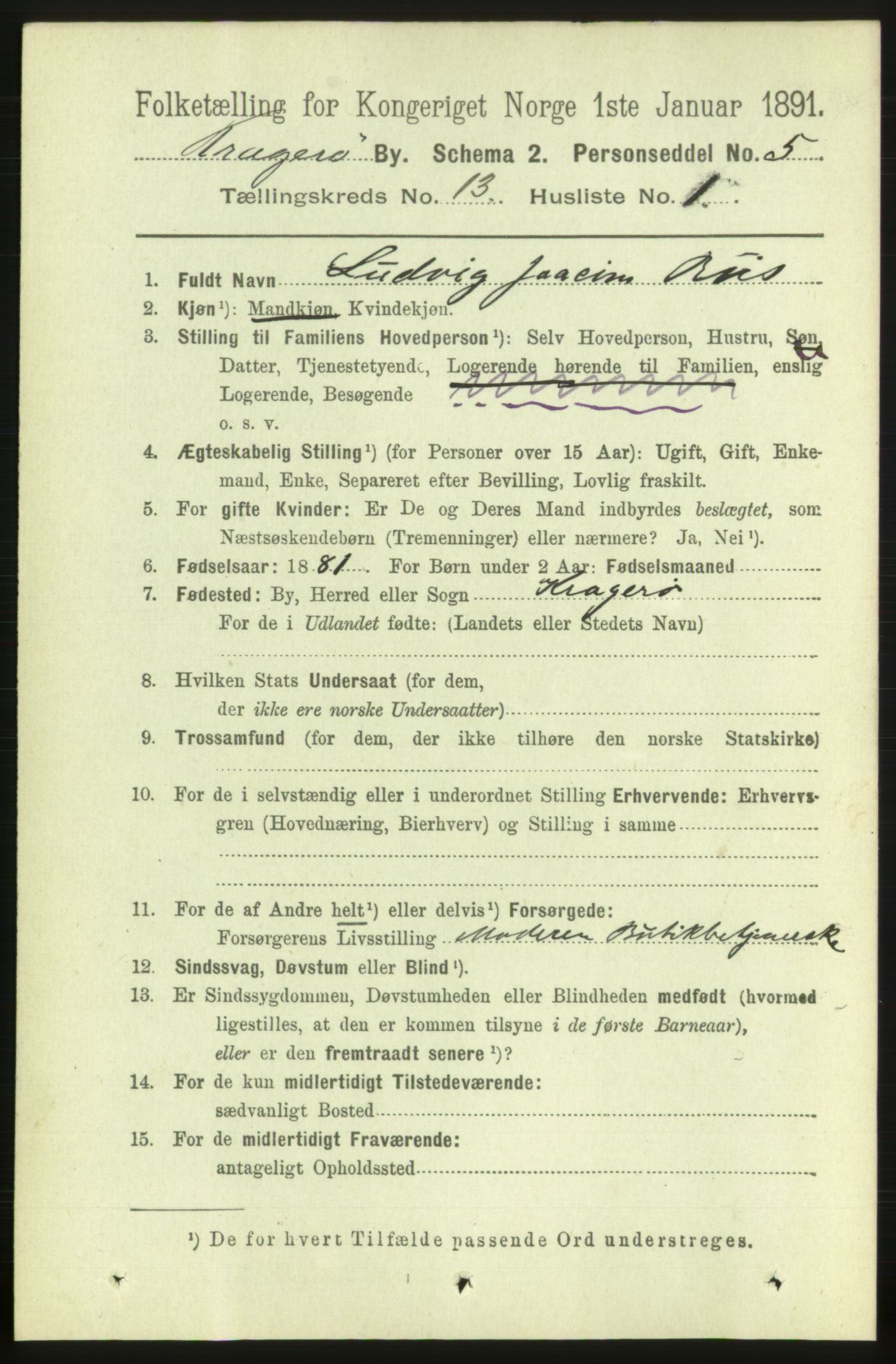 RA, 1891 census for 0801 Kragerø, 1891, p. 3979