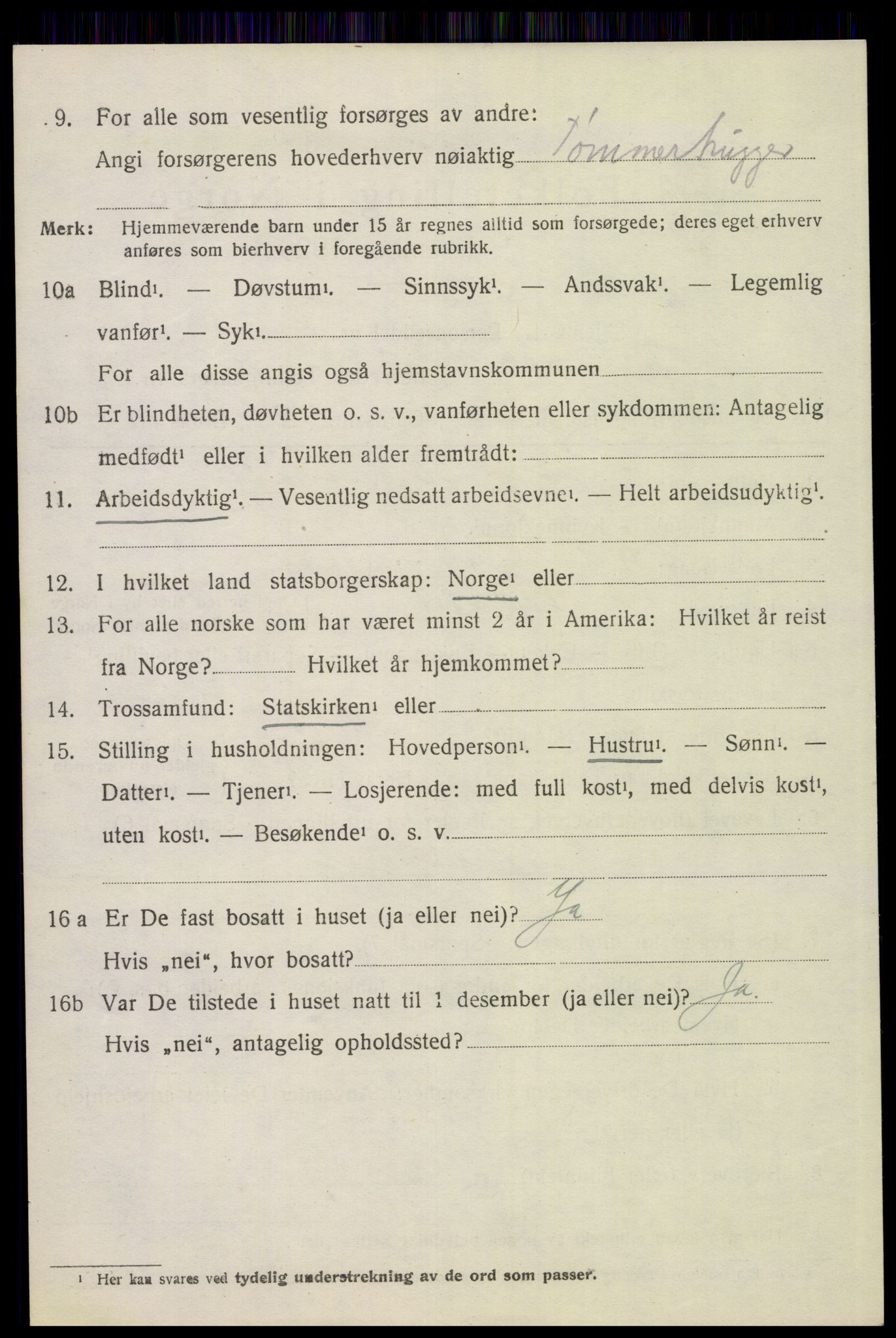 SAH, 1920 census for Tynset, 1920, p. 2449