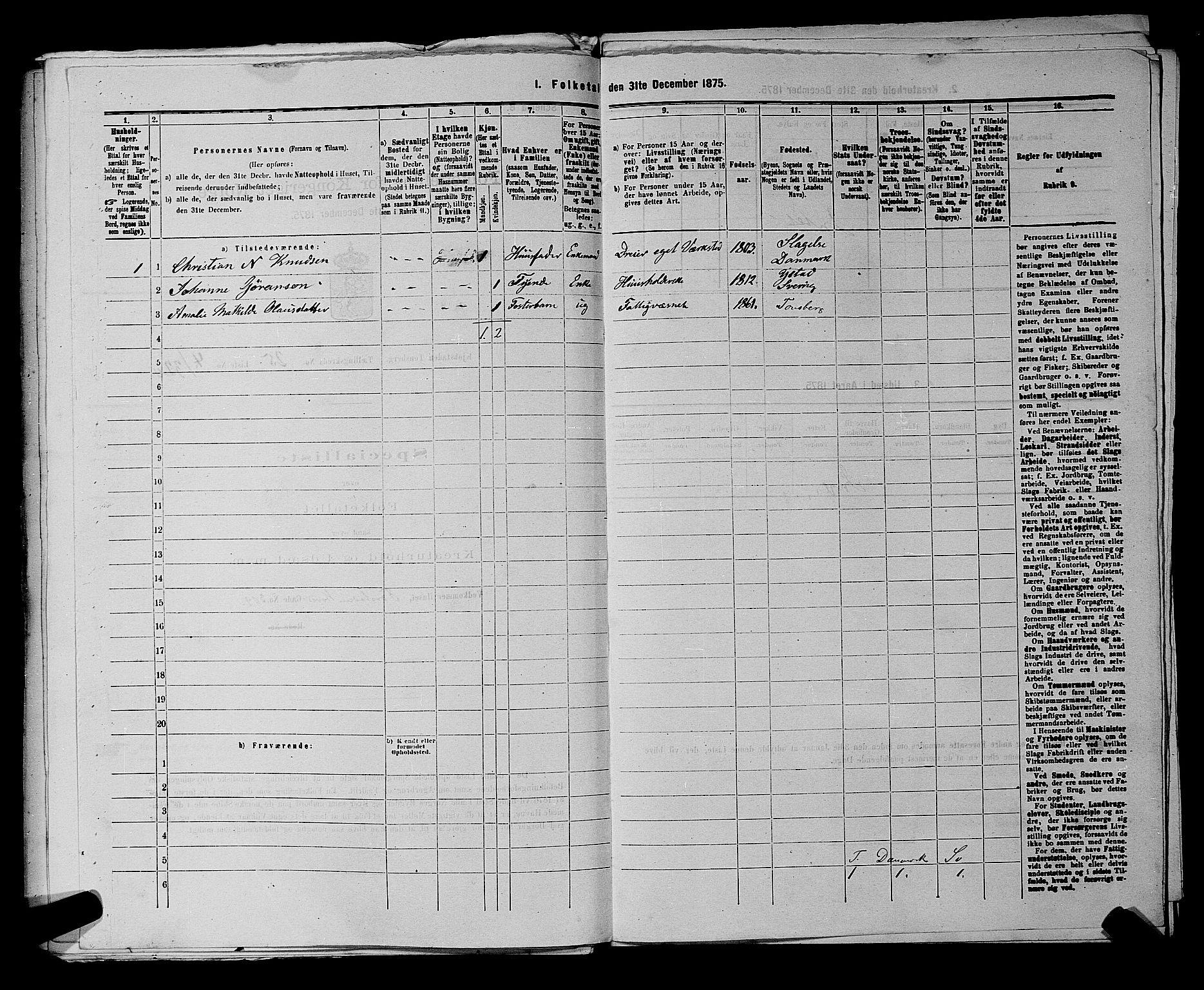 SAKO, 1875 census for 0705P Tønsberg, 1875, p. 783