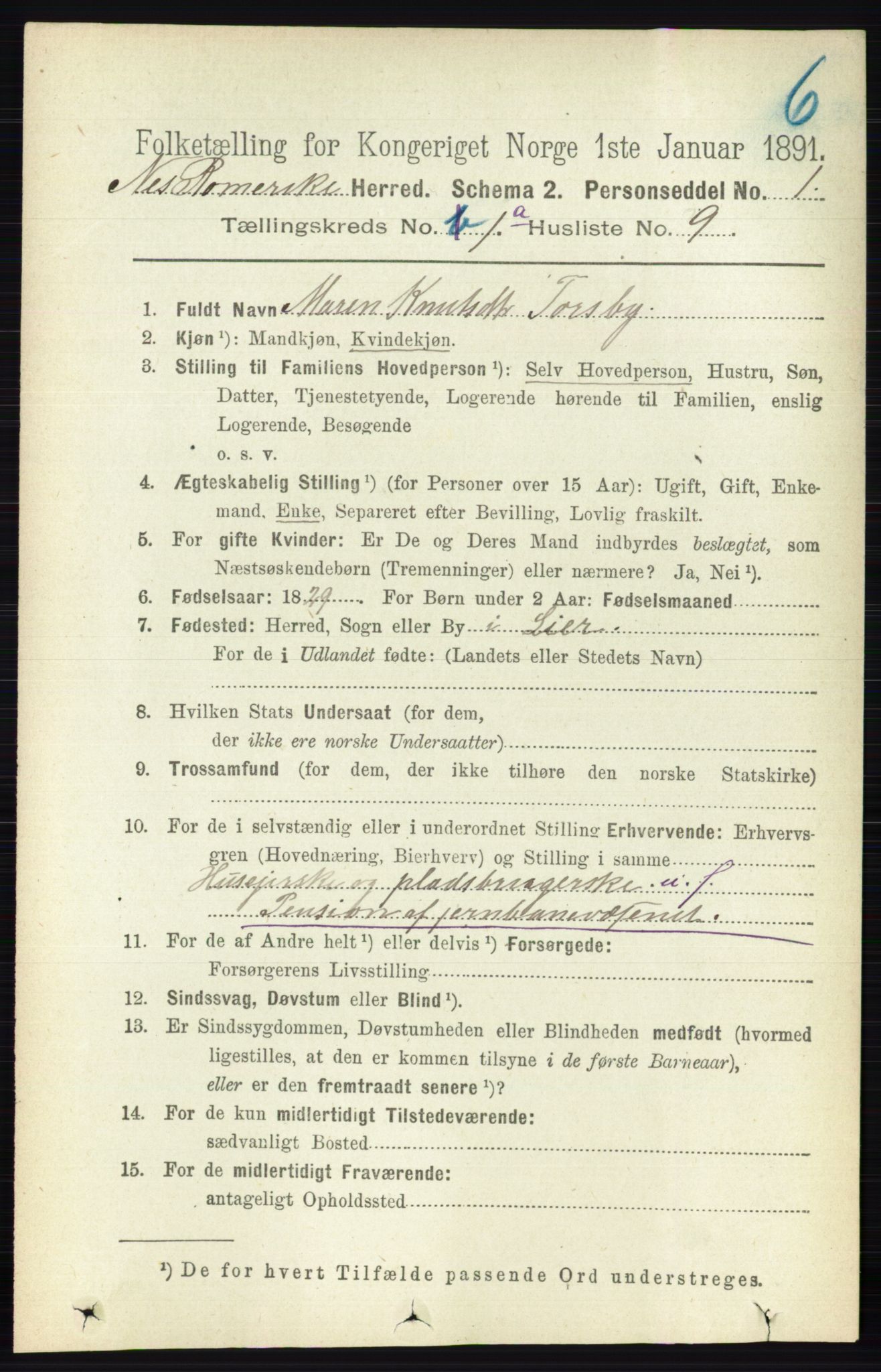 RA, 1891 census for 0236 Nes, 1891, p. 168