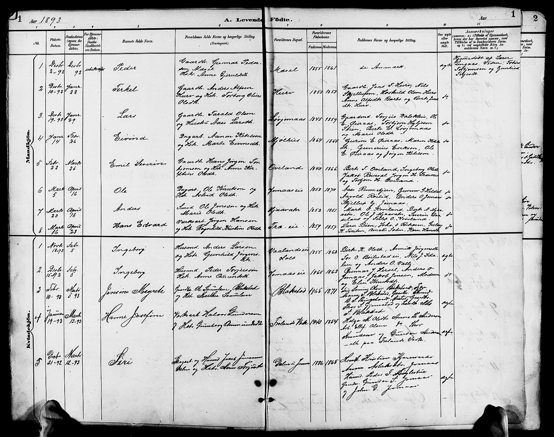 Froland sokneprestkontor, SAK/1111-0013/F/Fb/L0010: Parish register (copy) no. B 10, 1893-1920, p. 1