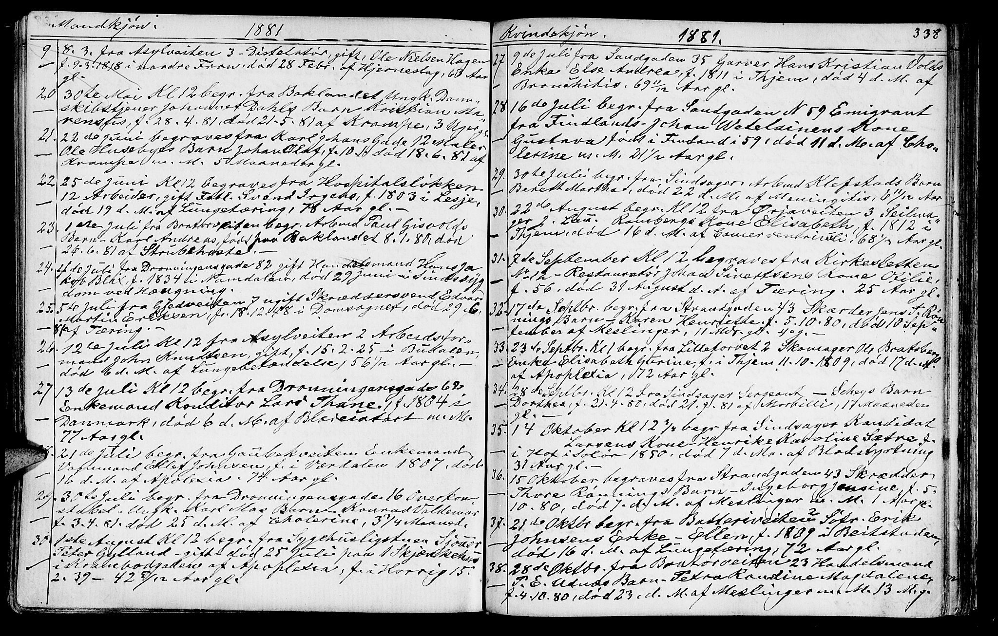 Ministerialprotokoller, klokkerbøker og fødselsregistre - Sør-Trøndelag, SAT/A-1456/602/L0142: Parish register (copy) no. 602C10, 1872-1894, p. 338
