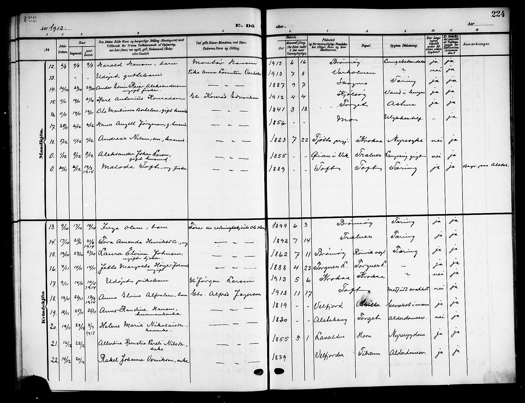 Ministerialprotokoller, klokkerbøker og fødselsregistre - Nordland, SAT/A-1459/813/L0214: Parish register (copy) no. 813C06, 1904-1917, p. 224