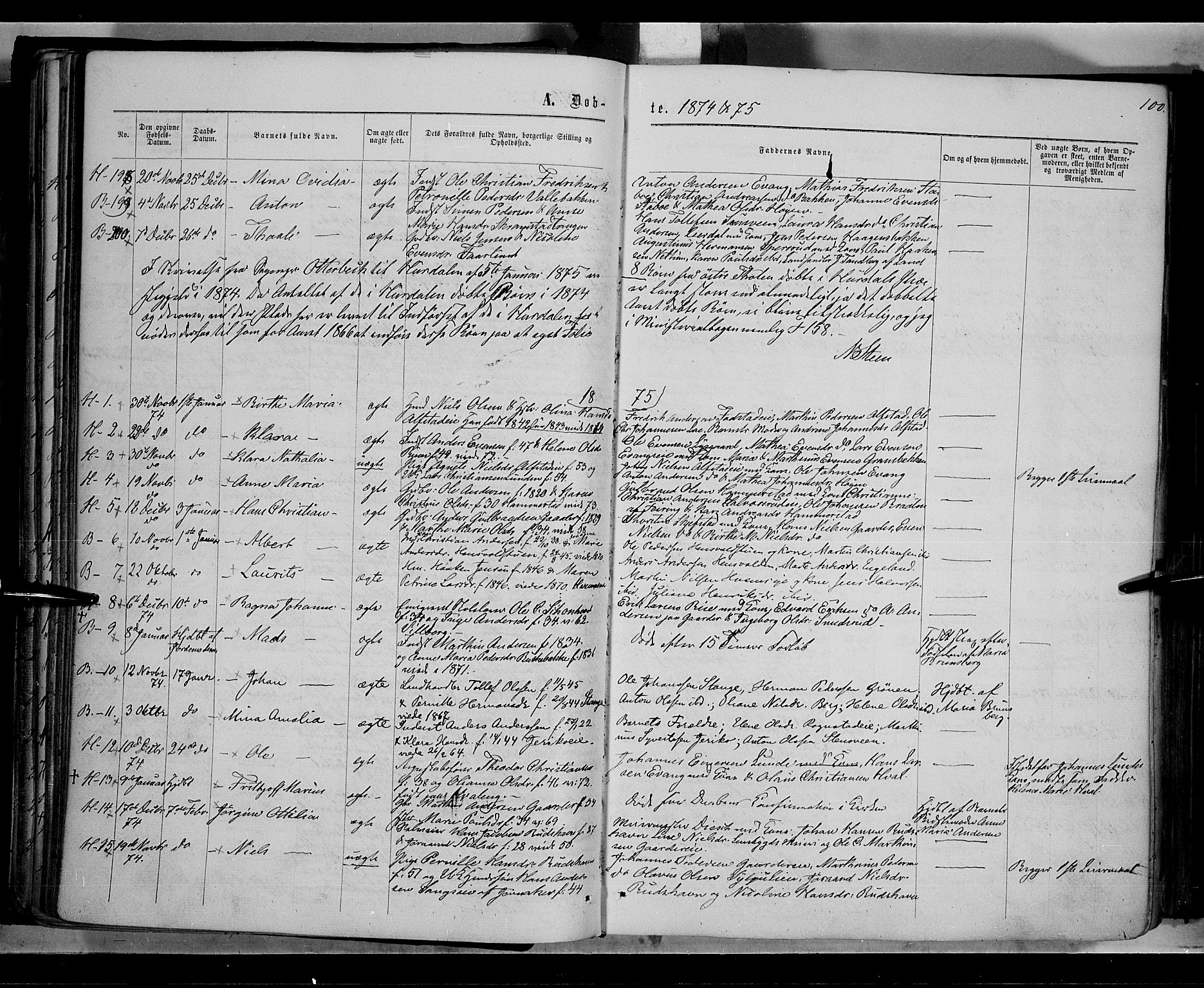 Østre Toten prestekontor, AV/SAH-PREST-104/H/Ha/Haa/L0005: Parish register (official) no. 5, 1866-1877, p. 100