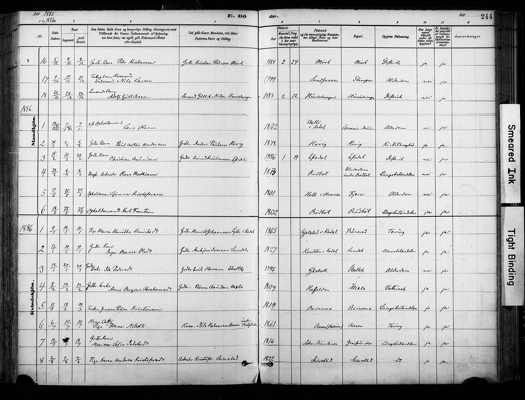 Hedrum kirkebøker, SAKO/A-344/F/Fa/L0009: Parish register (official) no. I 9, 1881-1903, p. 244