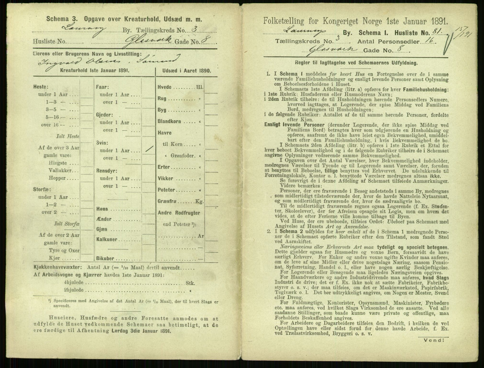 RA, 1891 census for 0707 Larvik, 1891, p. 531