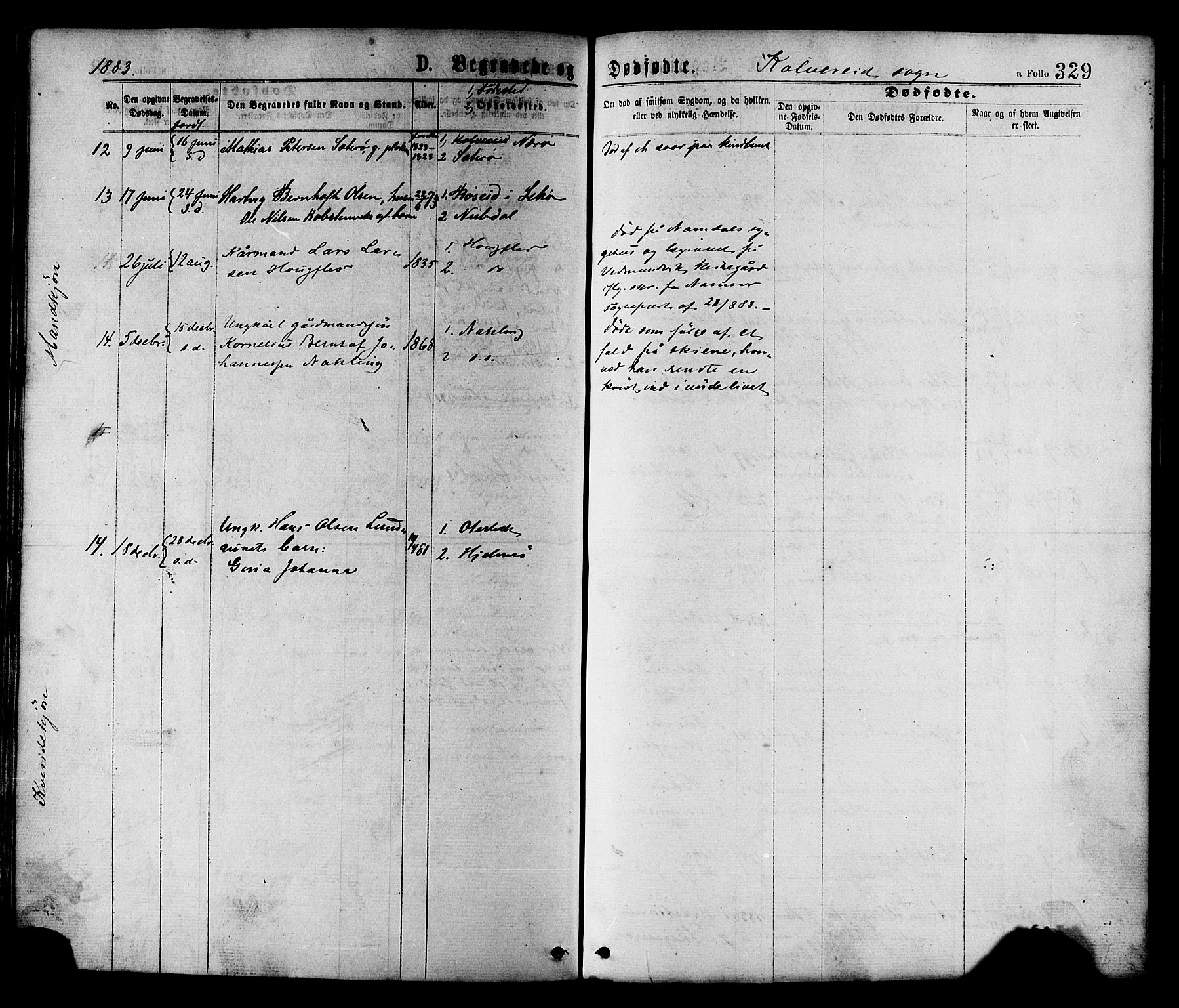 Ministerialprotokoller, klokkerbøker og fødselsregistre - Nord-Trøndelag, SAT/A-1458/780/L0642: Parish register (official) no. 780A07 /1, 1874-1885, p. 329