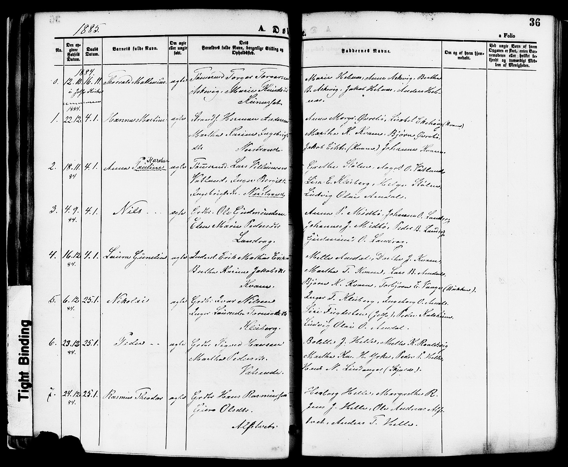 Nedstrand sokneprestkontor, SAST/A-101841/01/IV: Parish register (official) no. A 11, 1877-1887, p. 36