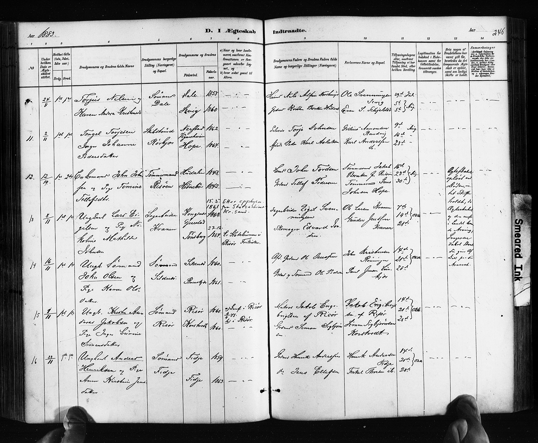 Søndeled sokneprestkontor, AV/SAK-1111-0038/F/Fa/L0004: Parish register (official) no. A 4, 1880-1889, p. 246