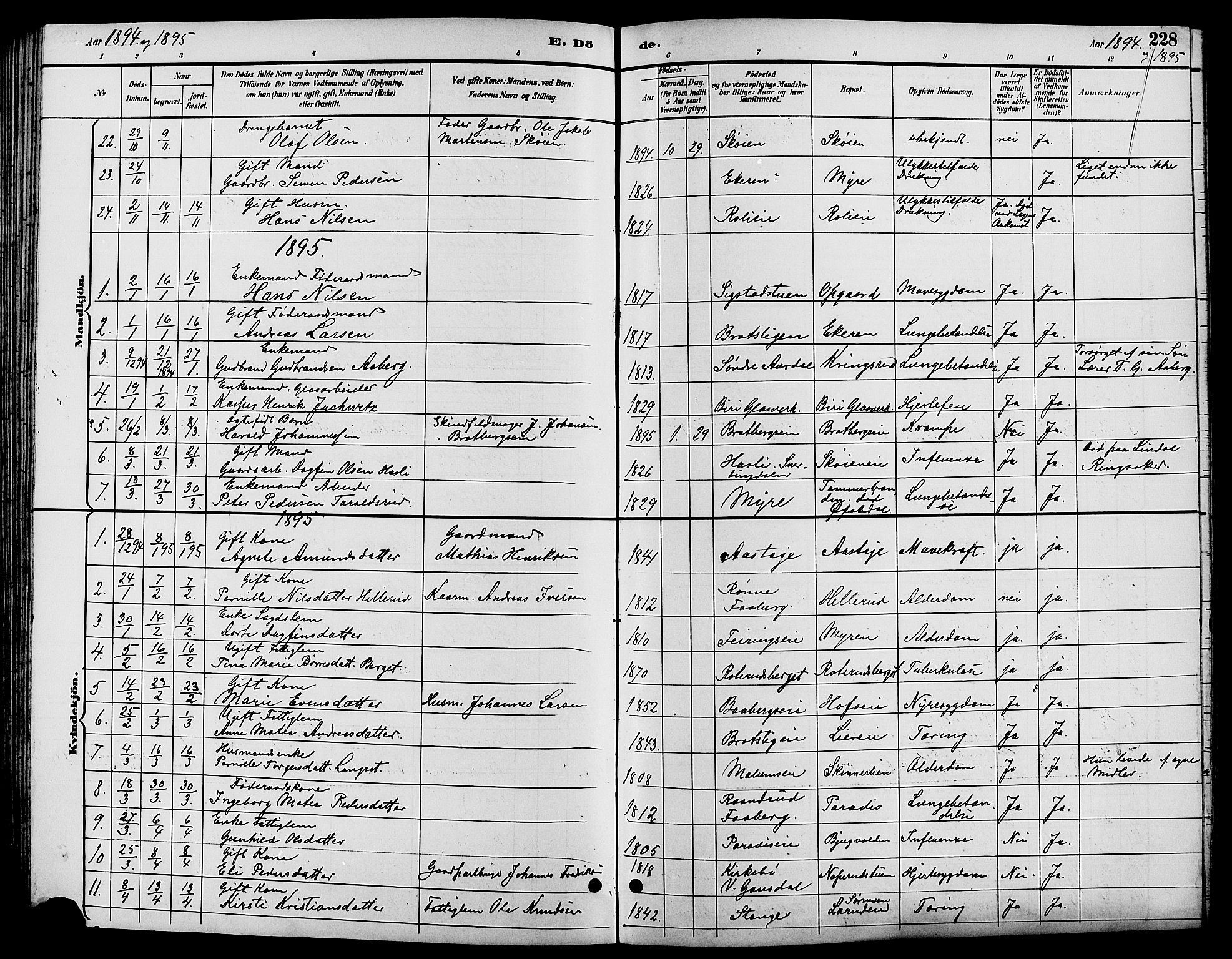 Biri prestekontor, SAH/PREST-096/H/Ha/Hab/L0004: Parish register (copy) no. 4, 1892-1909, p. 228
