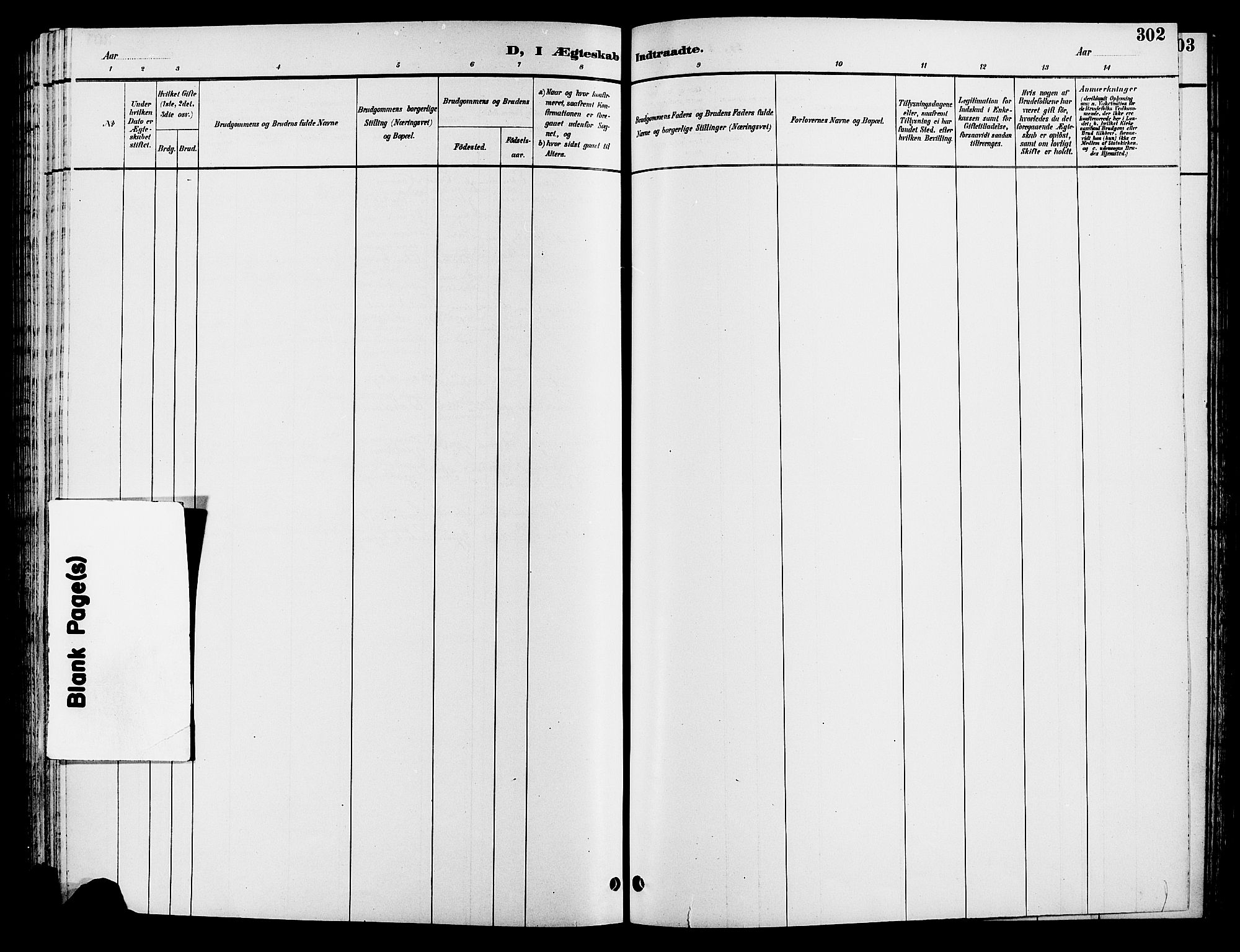 Løten prestekontor, AV/SAH-PREST-022/L/La/L0006: Parish register (copy) no. 6, 1892-1909, p. 302