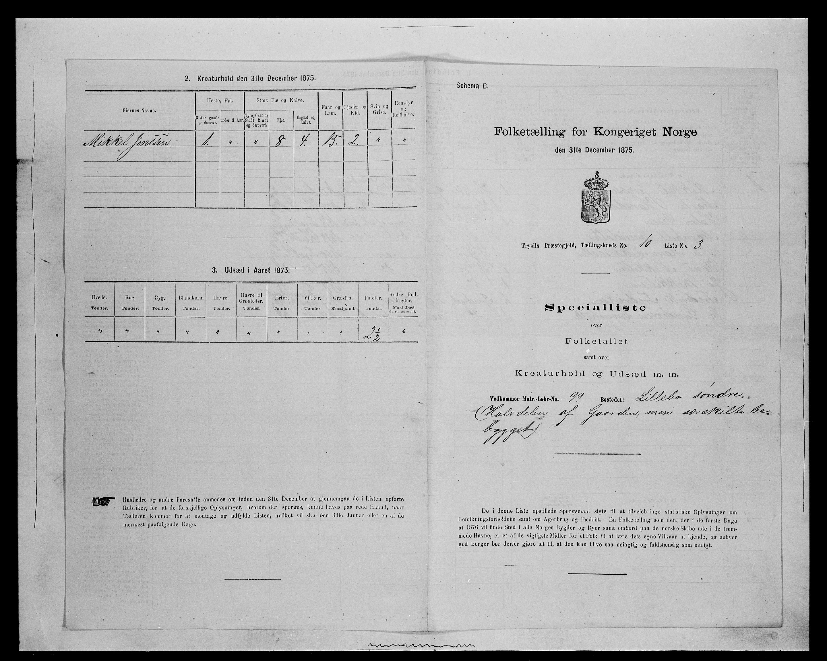 SAH, 1875 census for 0428P Trysil, 1875, p. 1144