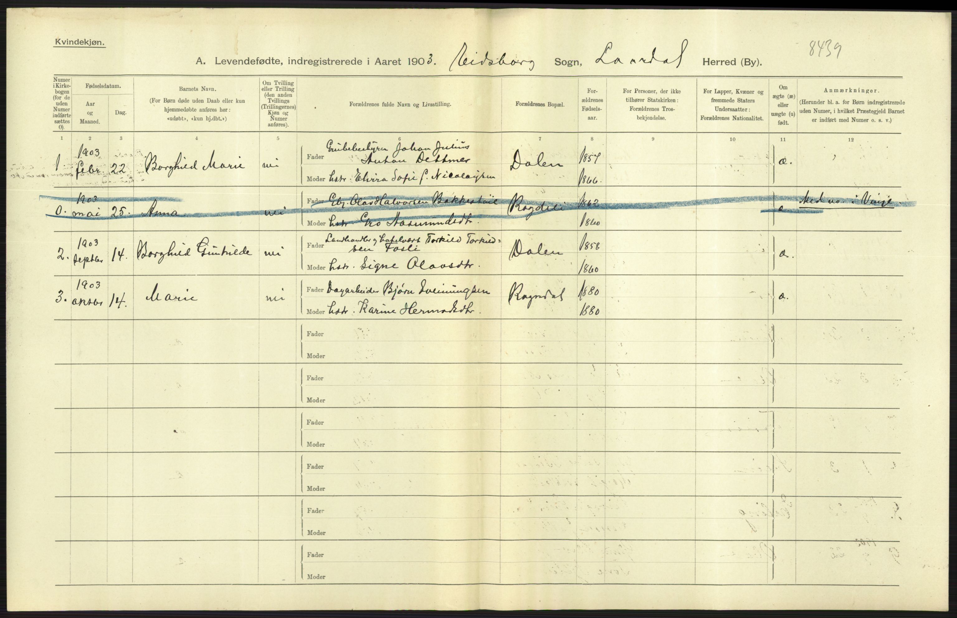 Statistisk sentralbyrå, Sosiodemografiske emner, Befolkning, AV/RA-S-2228/D/Df/Dfa/Dfaa/L0009: Bratsberg amt: Fødte, gifte, døde, 1903, p. 19