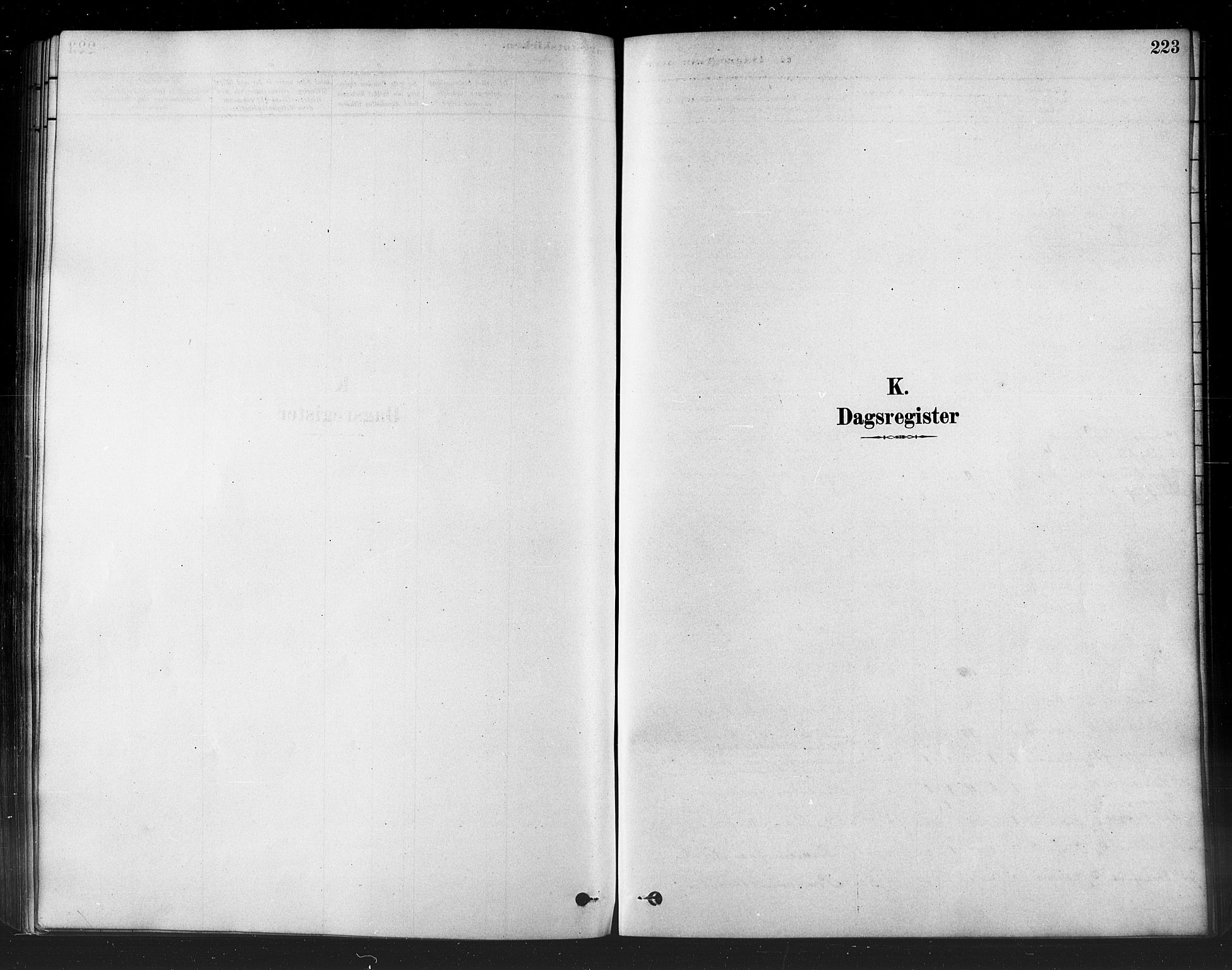 Kistrand/Porsanger sokneprestembete, SATØ/S-1351/H/Ha/L0007.kirke: Parish register (official) no. 7, 1881-1889, p. 223